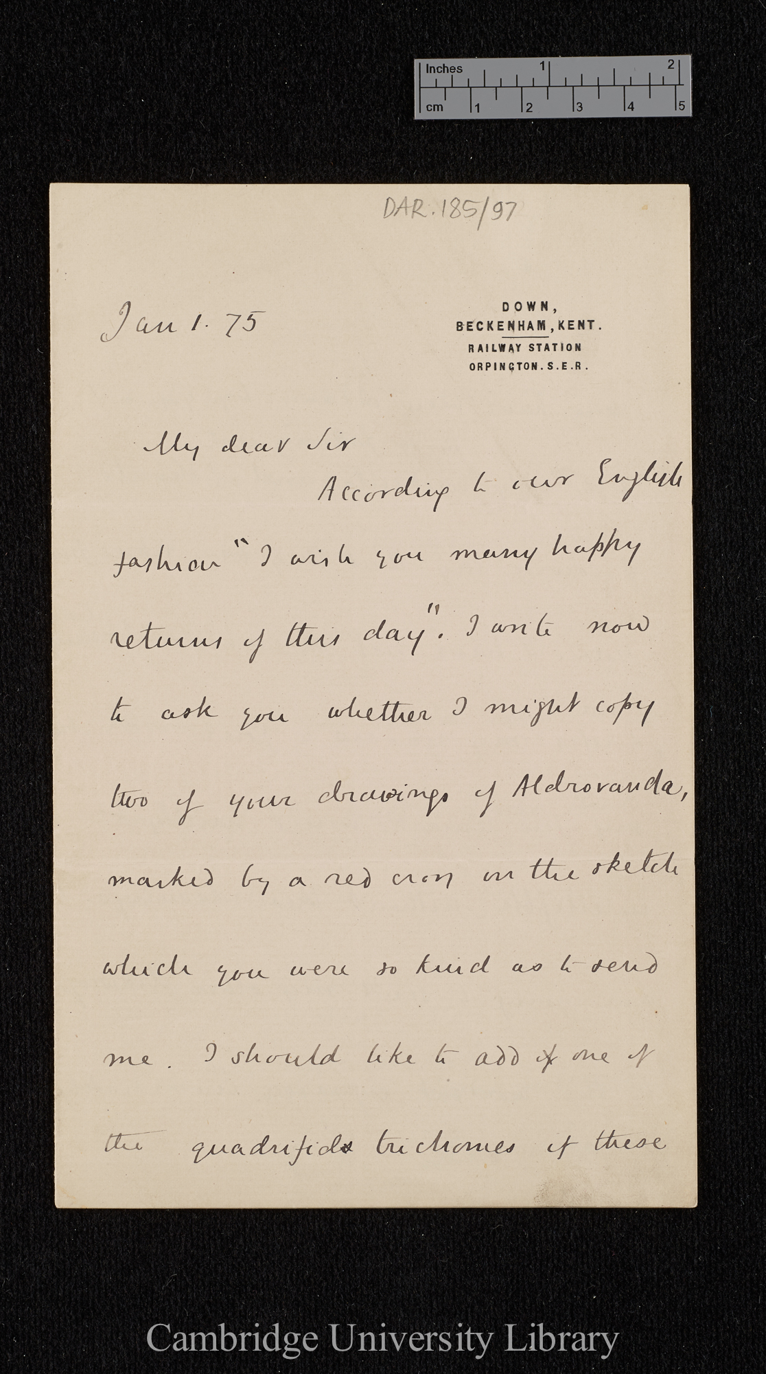 Charles Robert Darwin to Ferdinand Cohn