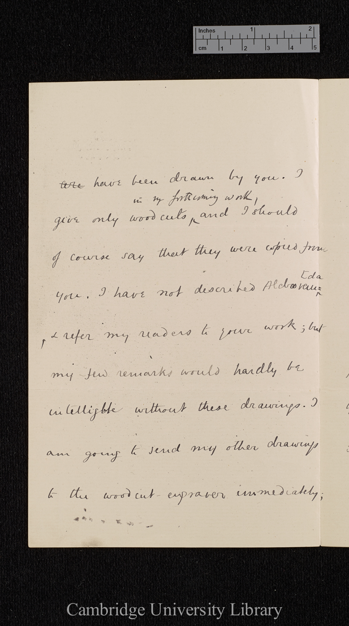 Charles Robert Darwin to Ferdinand Cohn