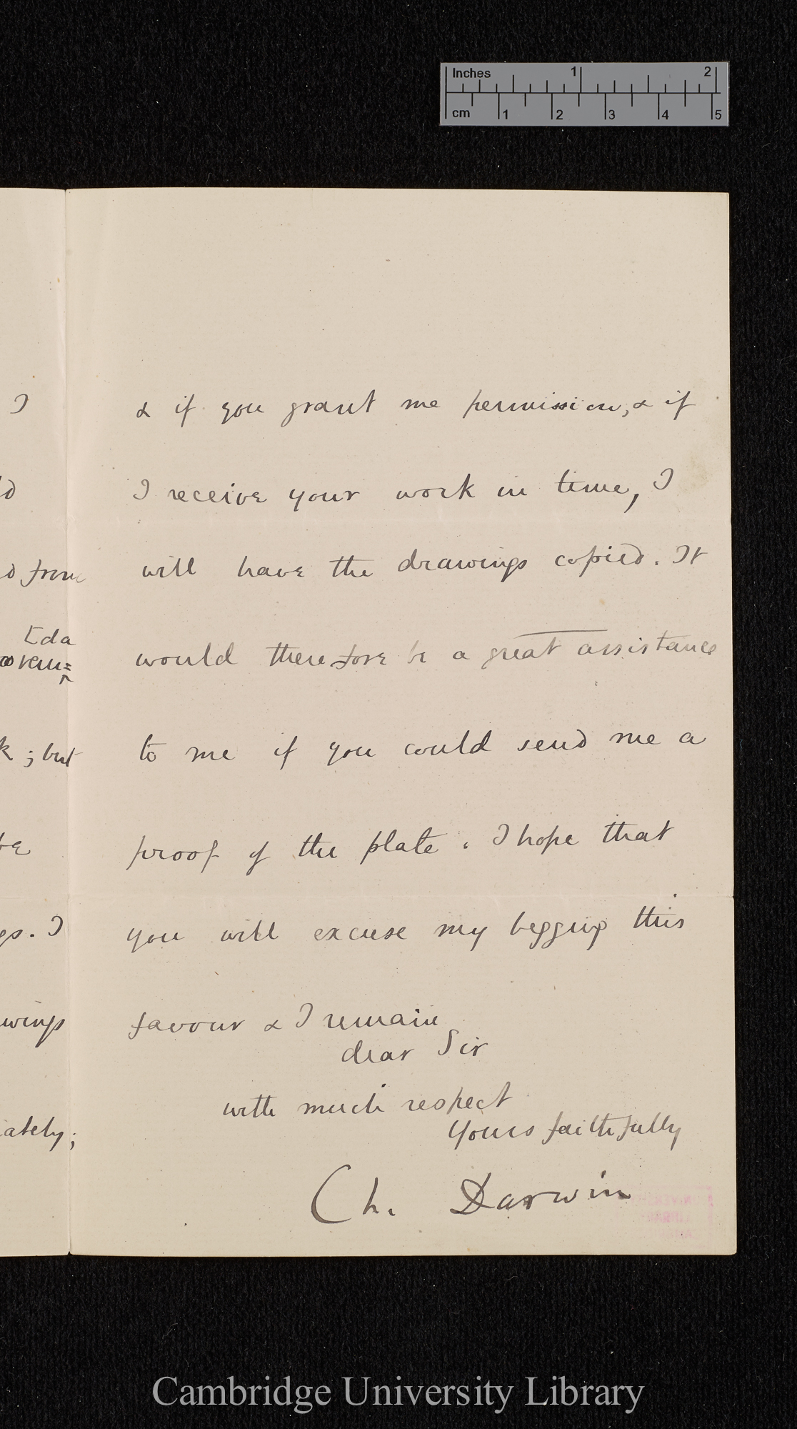 Charles Robert Darwin to Ferdinand Cohn