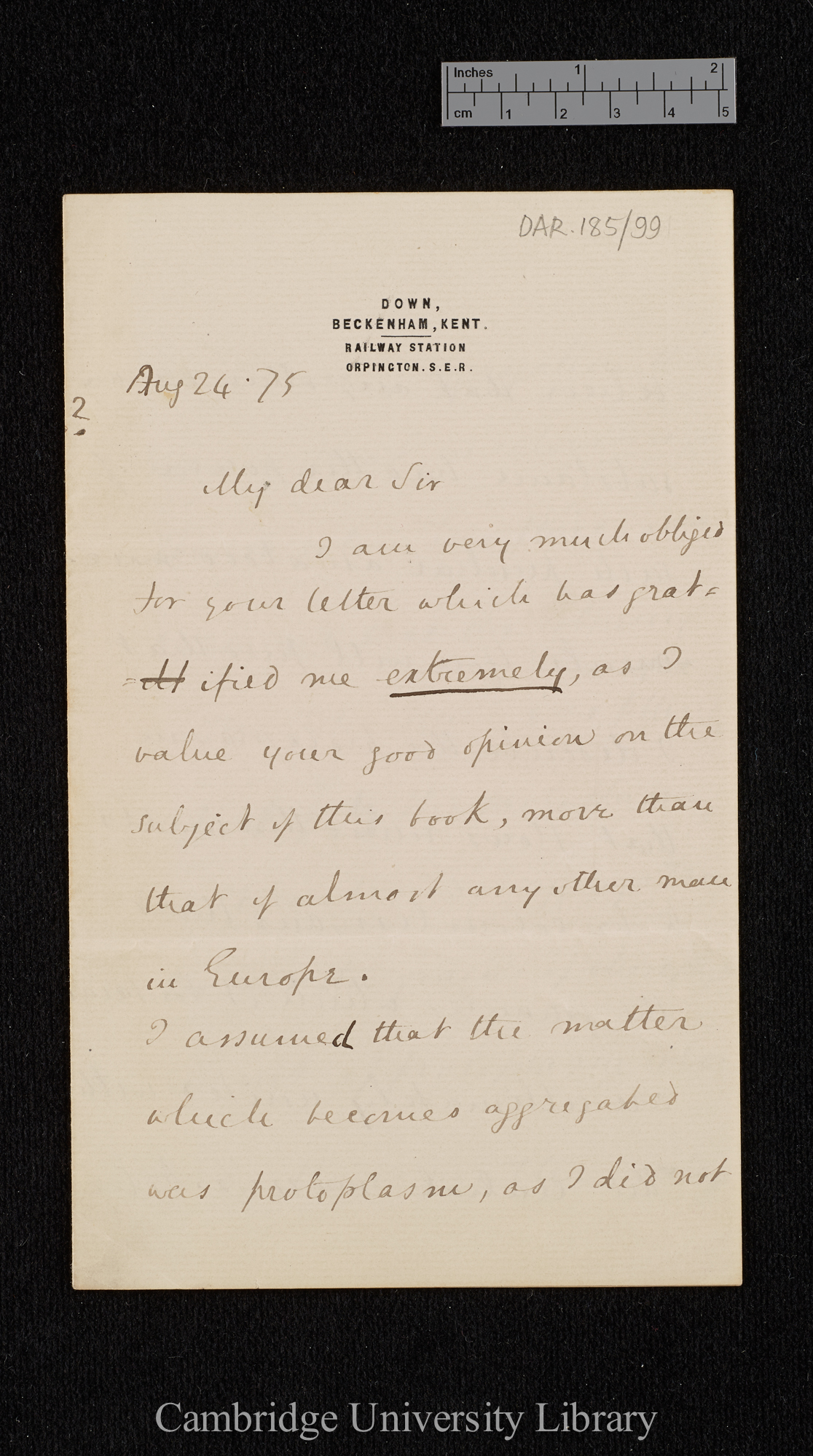 Charles Robert Darwin to Ferdinand Cohn