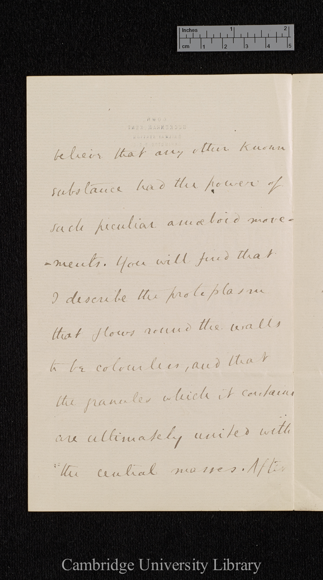 Charles Robert Darwin to Ferdinand Cohn