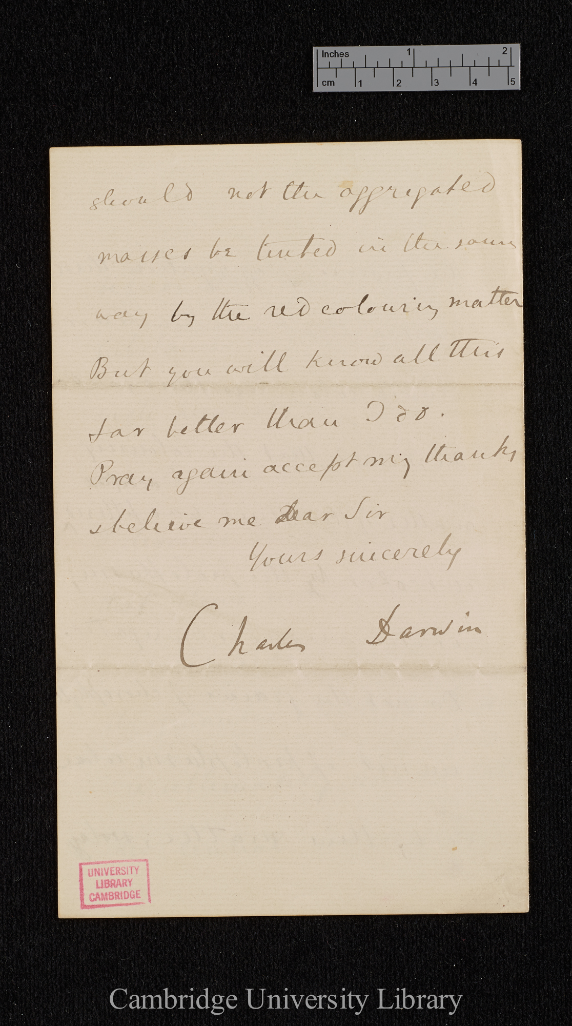 Charles Robert Darwin to Ferdinand Cohn