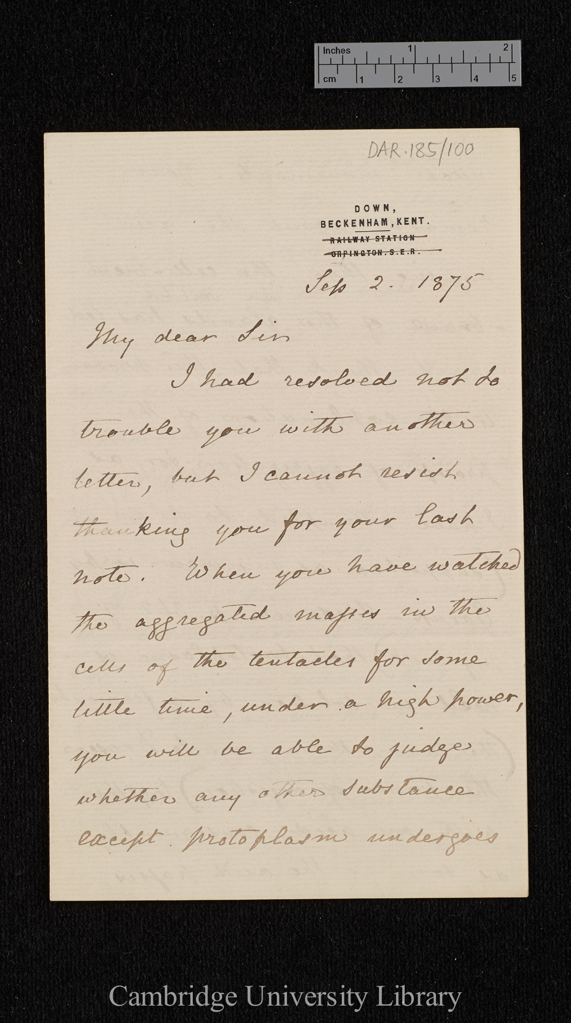 Charles Robert Darwin to Ferdinand Cohn