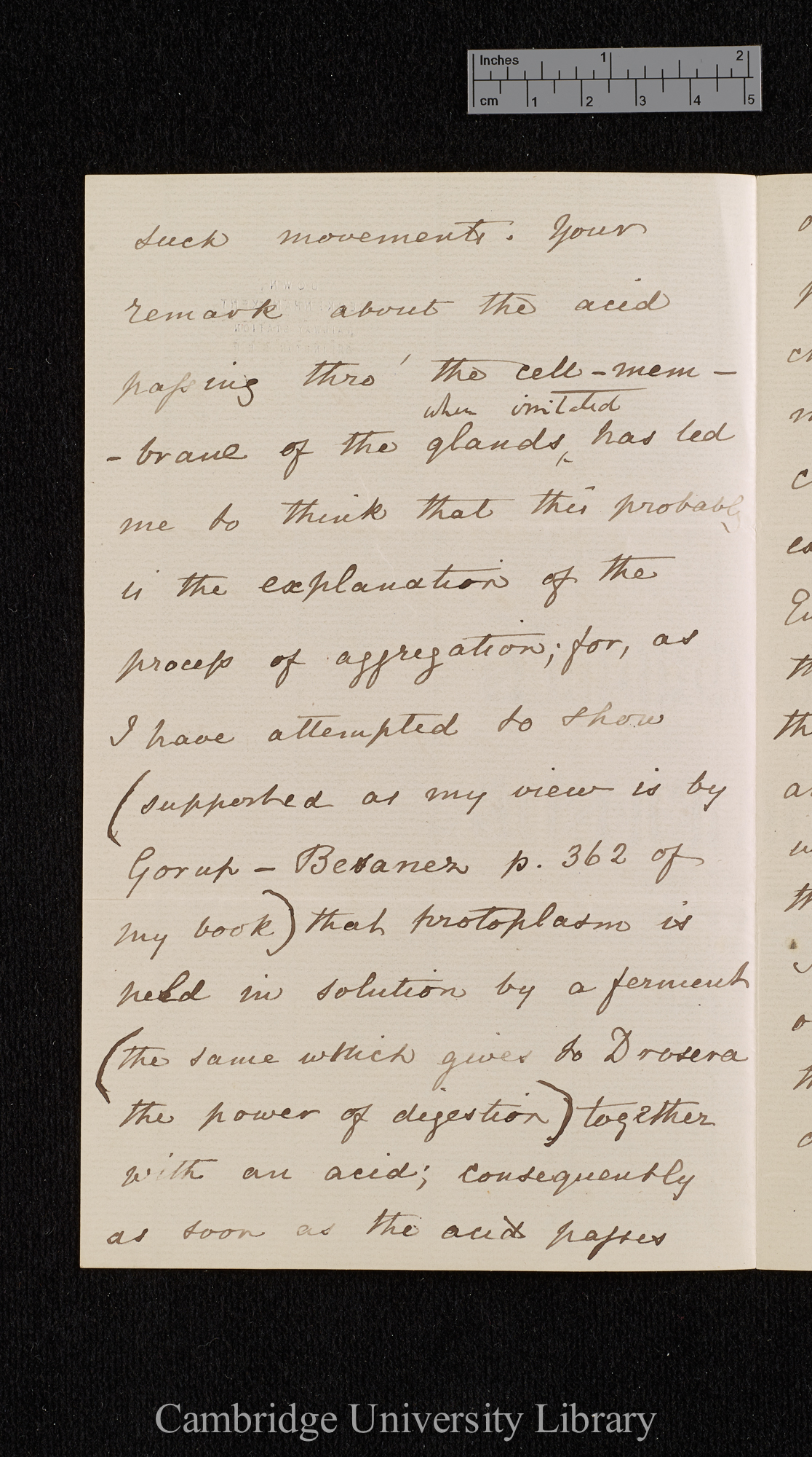 Charles Robert Darwin to Ferdinand Cohn