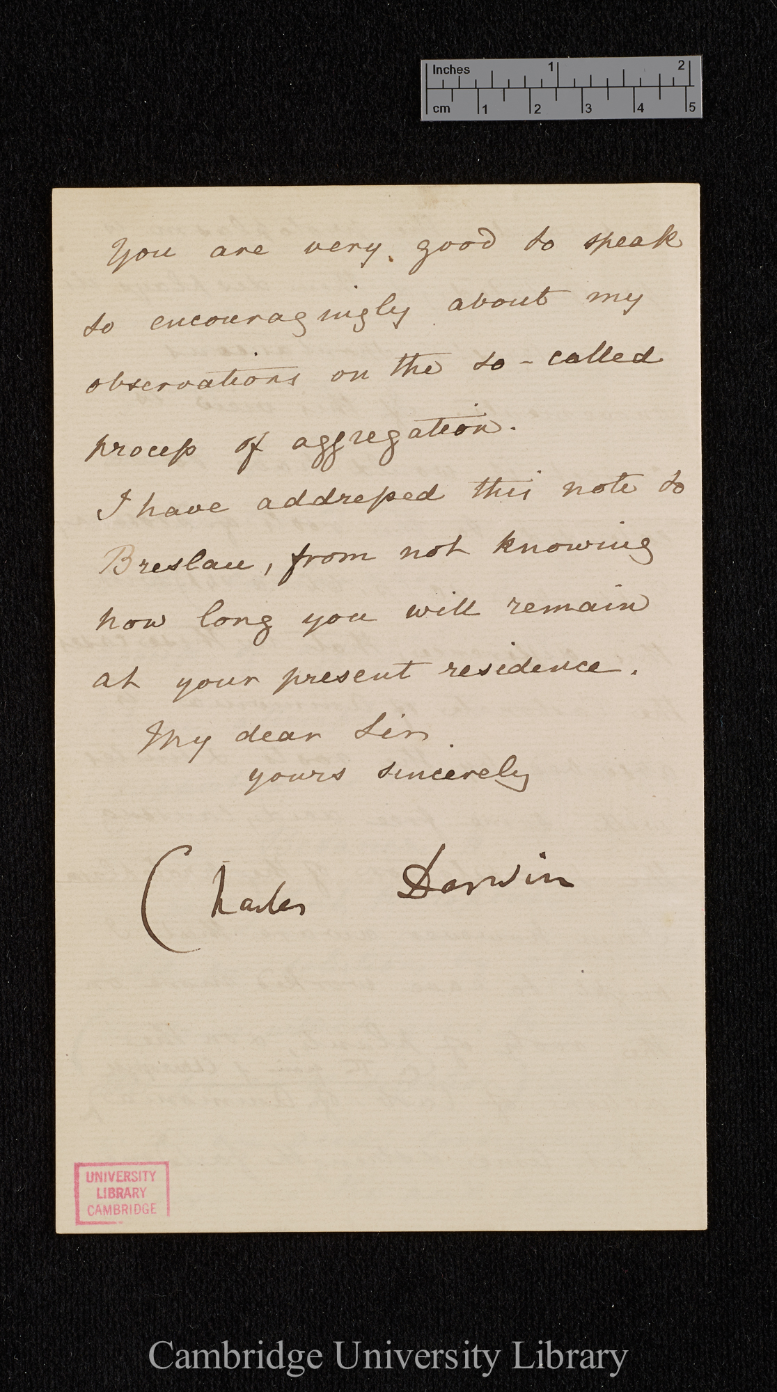 Charles Robert Darwin to Ferdinand Cohn