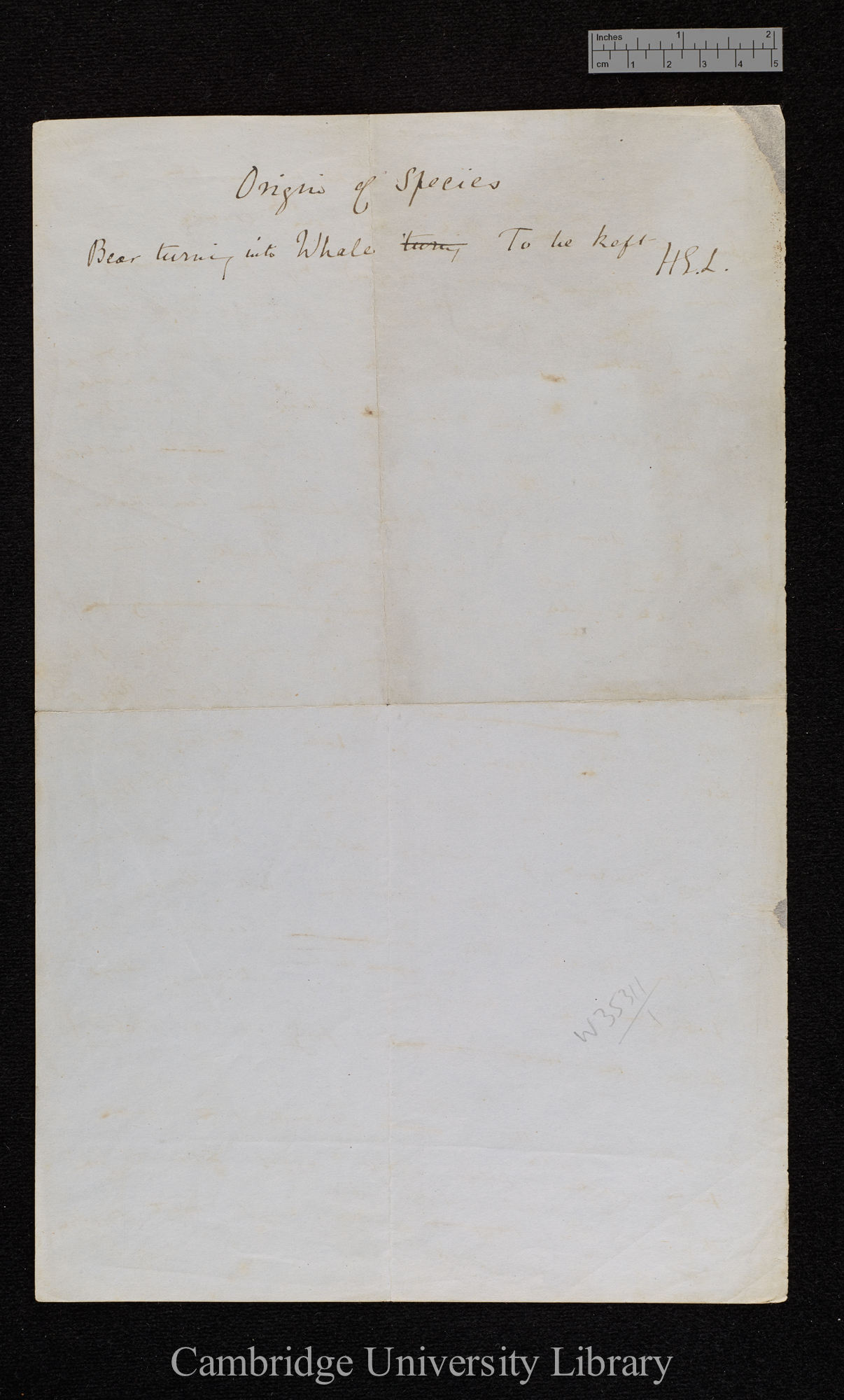 verso of Ms p 198