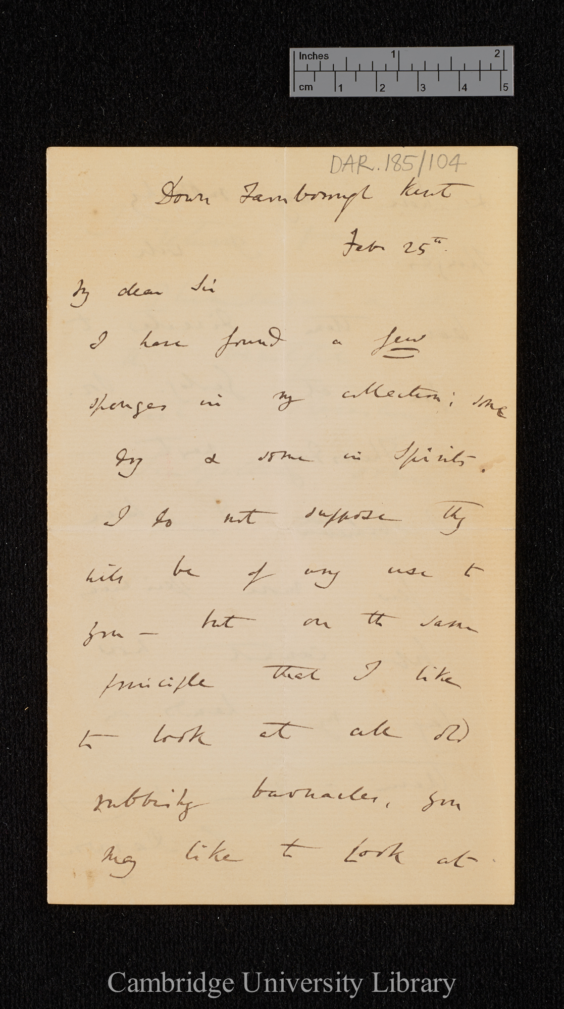 Charles Robert Darwin to James Scott Bowerbank