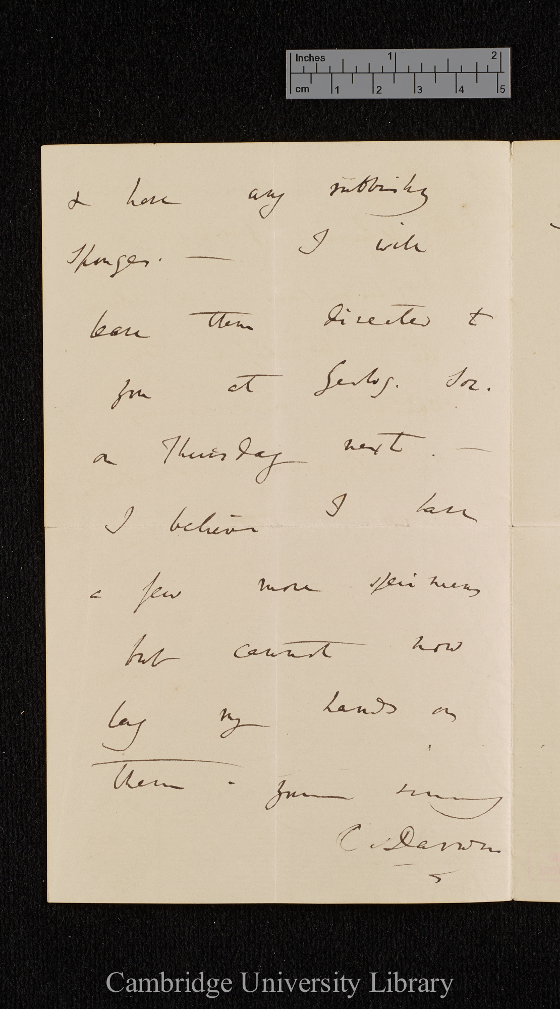 Charles Robert Darwin to James Scott Bowerbank