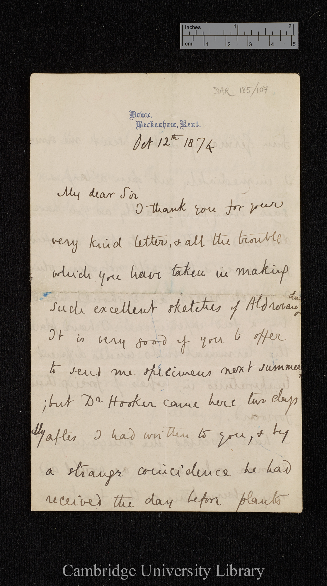 Charles Robert Darwin to Ferdinand Cohn