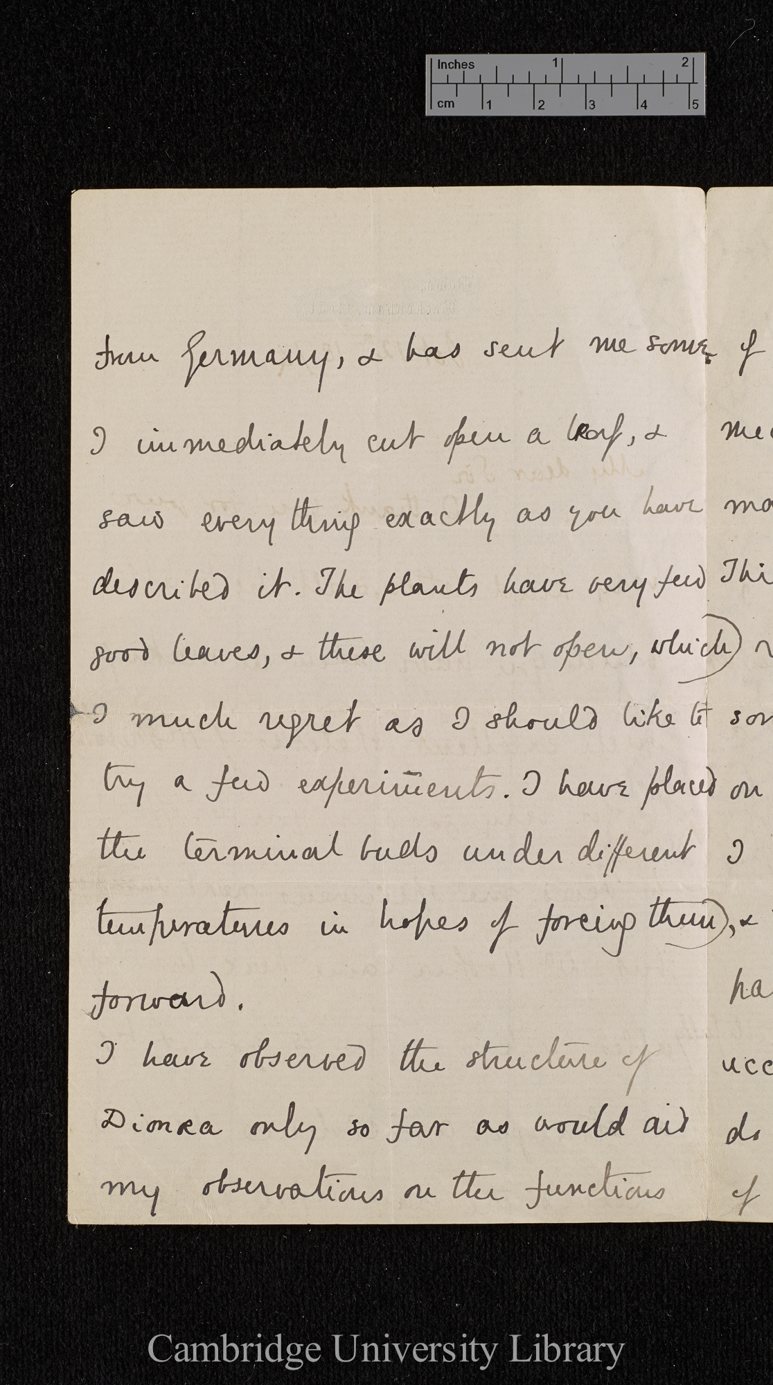 Charles Robert Darwin to Ferdinand Cohn