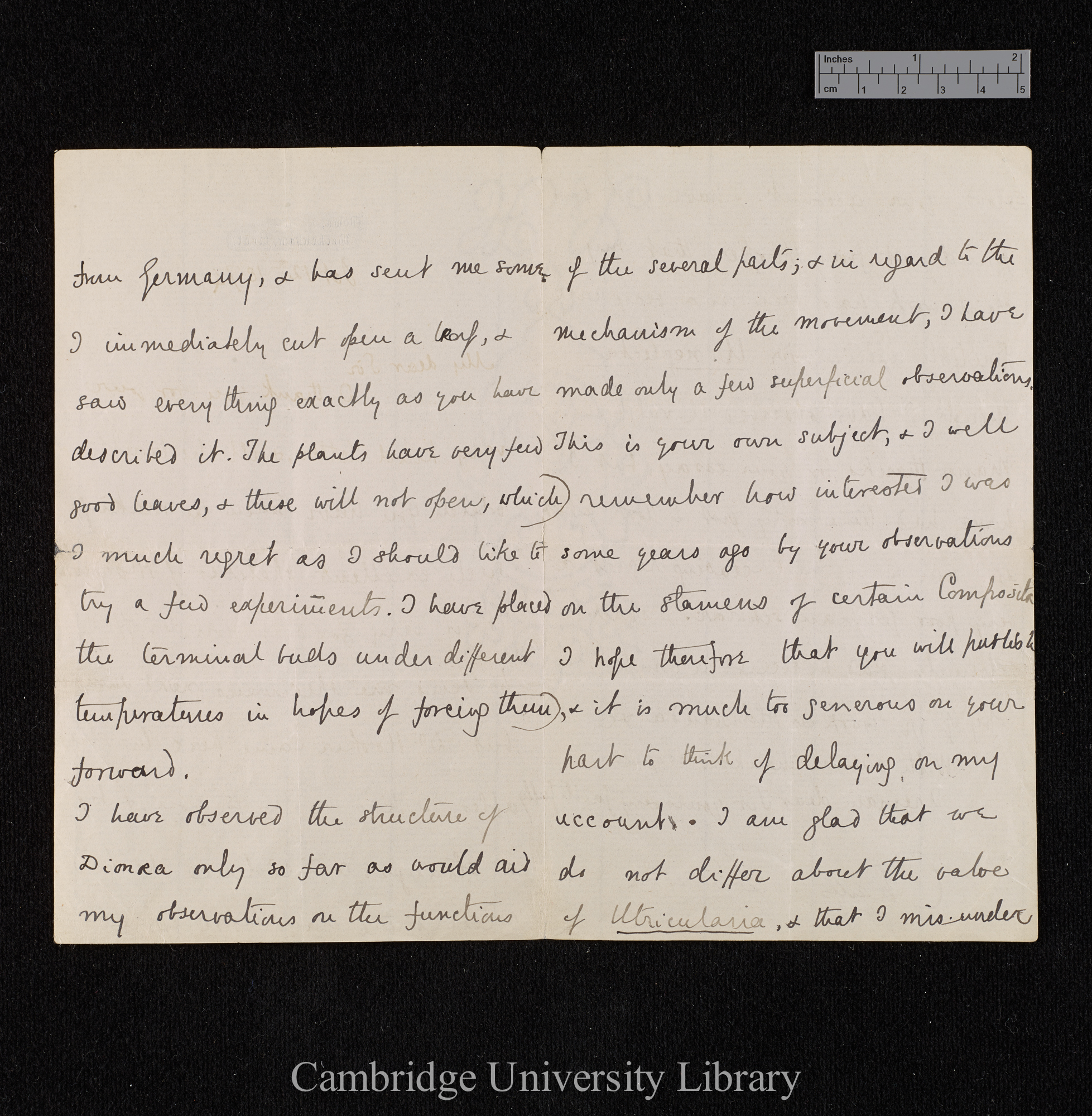 Charles Robert Darwin to Ferdinand Cohn