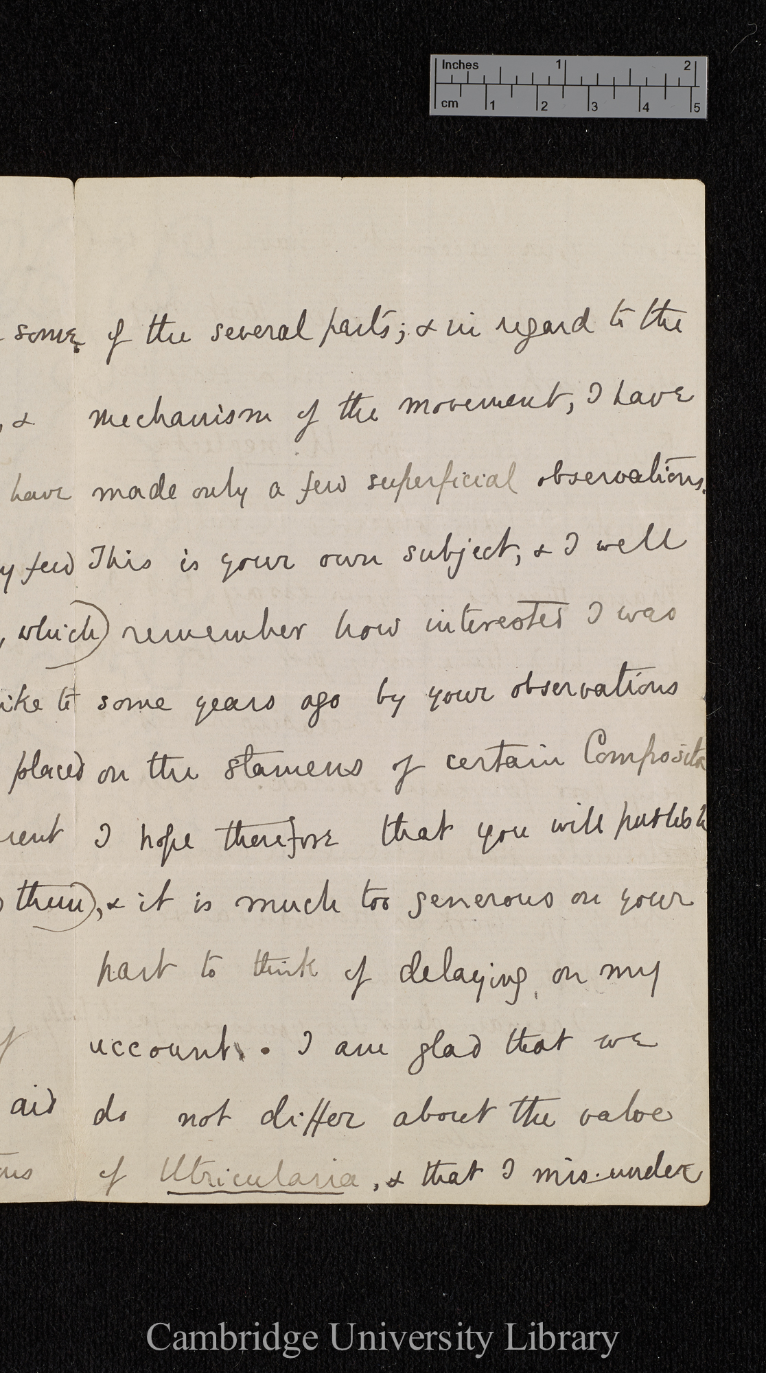 Charles Robert Darwin to Ferdinand Cohn