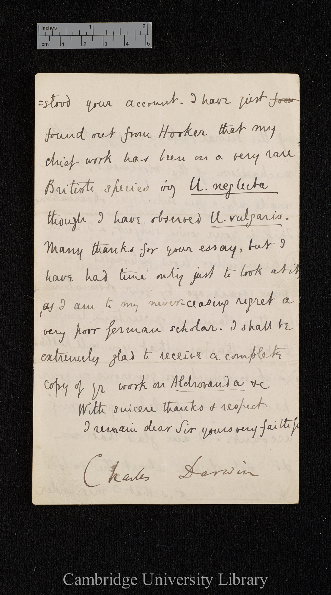 Charles Robert Darwin to Ferdinand Cohn