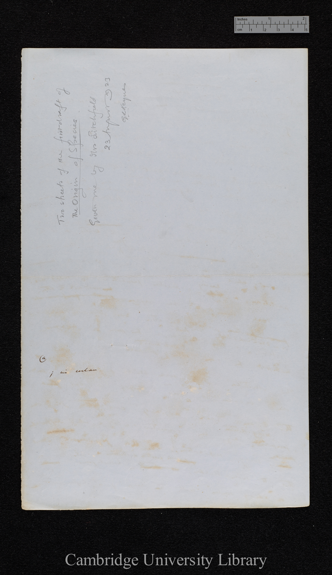 verso of Ms p 208