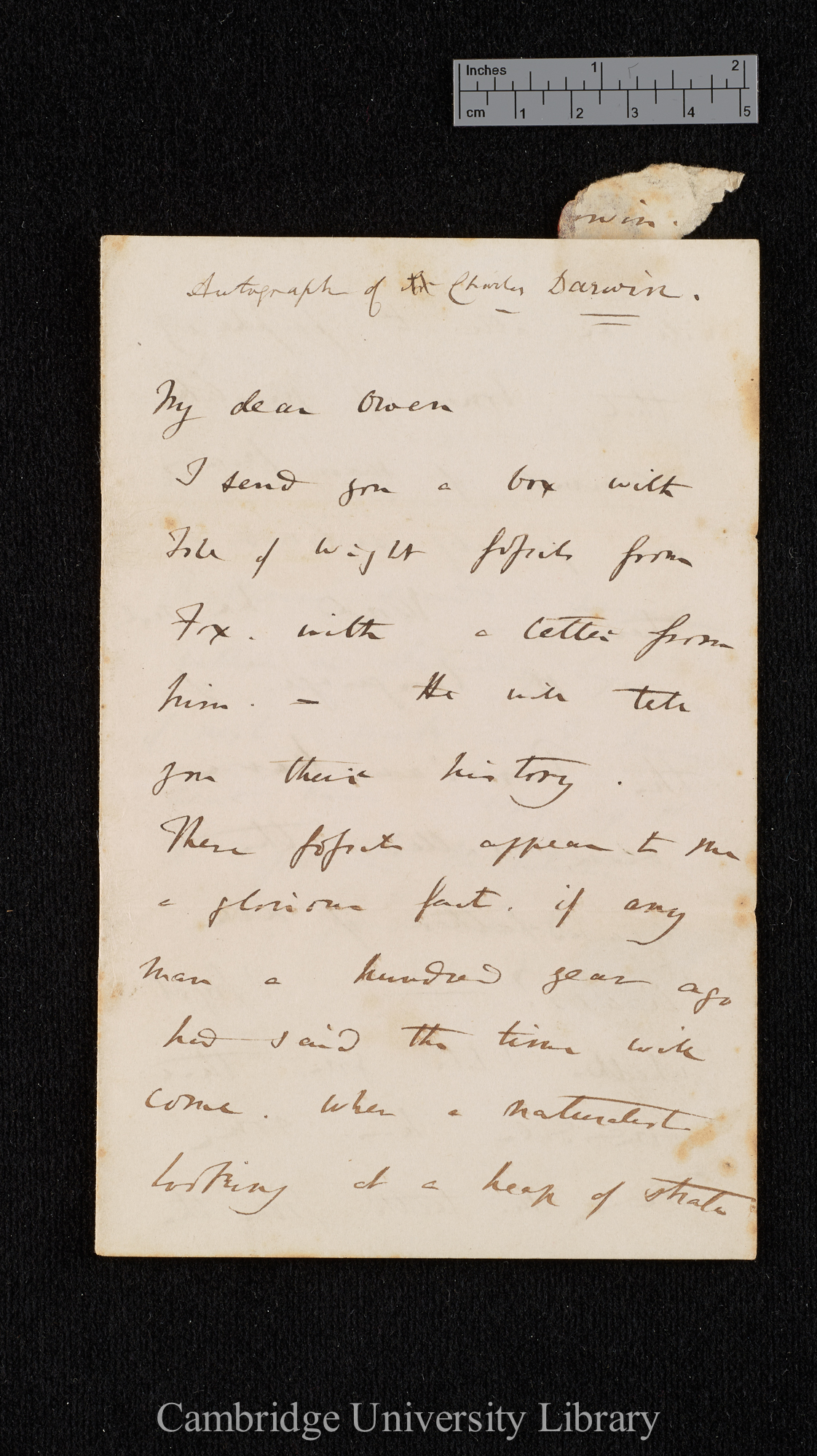 Charles Robert Darwin to Sir Richard Owen