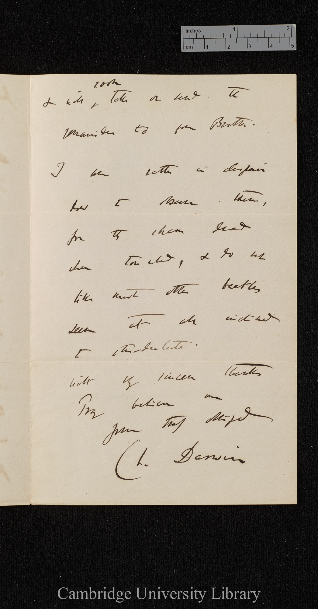 Charles Robert Darwin to [Frederick Bates]