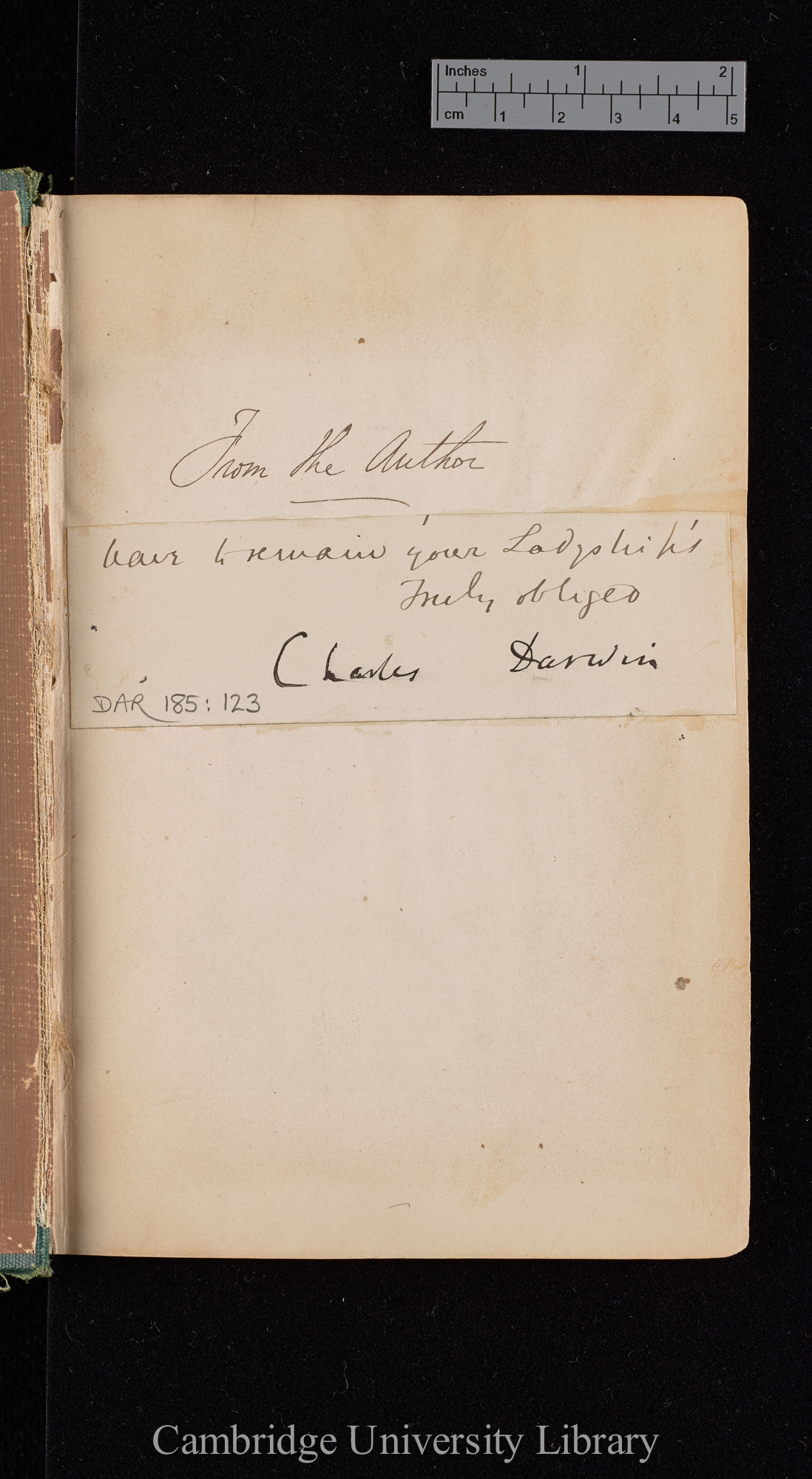 Letter from Charles Robert Darwin to [unidentified]; written at [place unstated]; last line (in hand of Sir Francis Darwin) and signature only; attached to &#39;Insectivorous plants&#39;