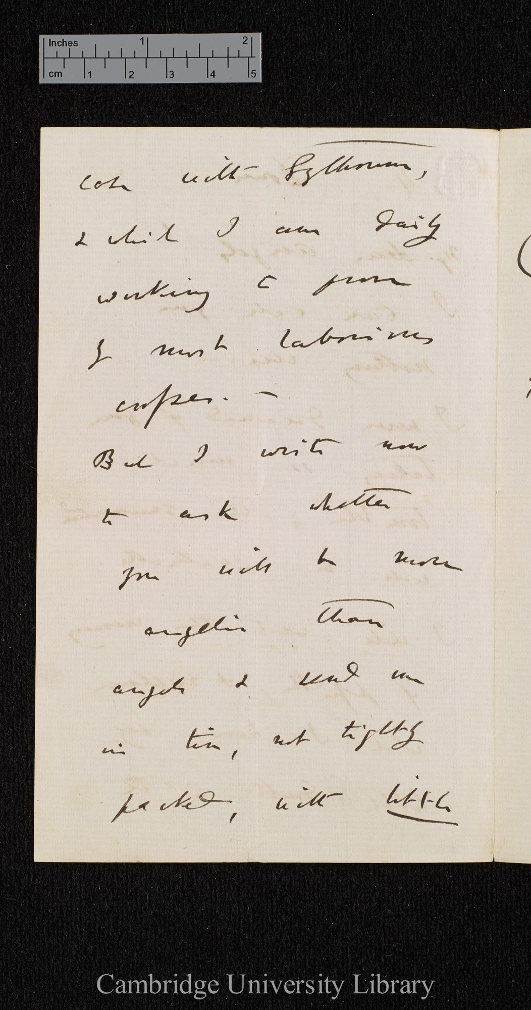 Charles Robert Darwin to [(Katherine Elizabeth) Sophy Wedgwood  M Vaughan Williams née Wedgwood and Lucy Caroline Hamilton née Wedgwood]