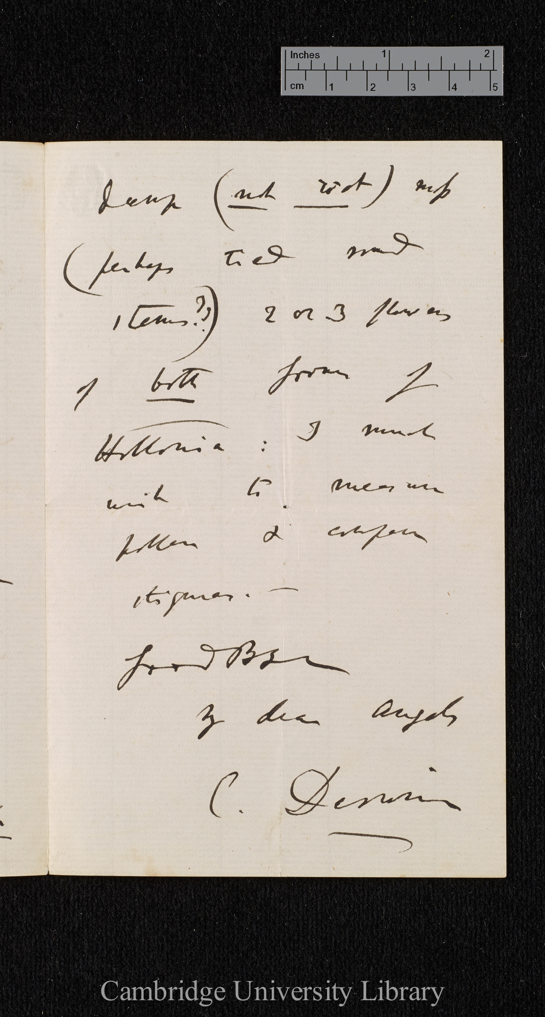 Charles Robert Darwin to [(Katherine Elizabeth) Sophy Wedgwood  M Vaughan Williams née Wedgwood and Lucy Caroline Hamilton née Wedgwood]