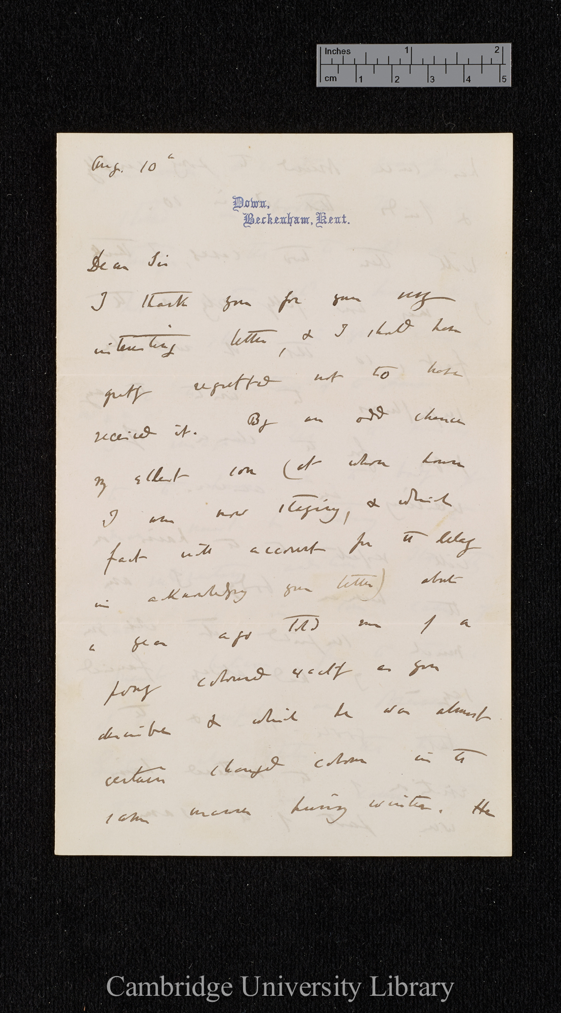 Charles Robert Darwin to Frank Chase