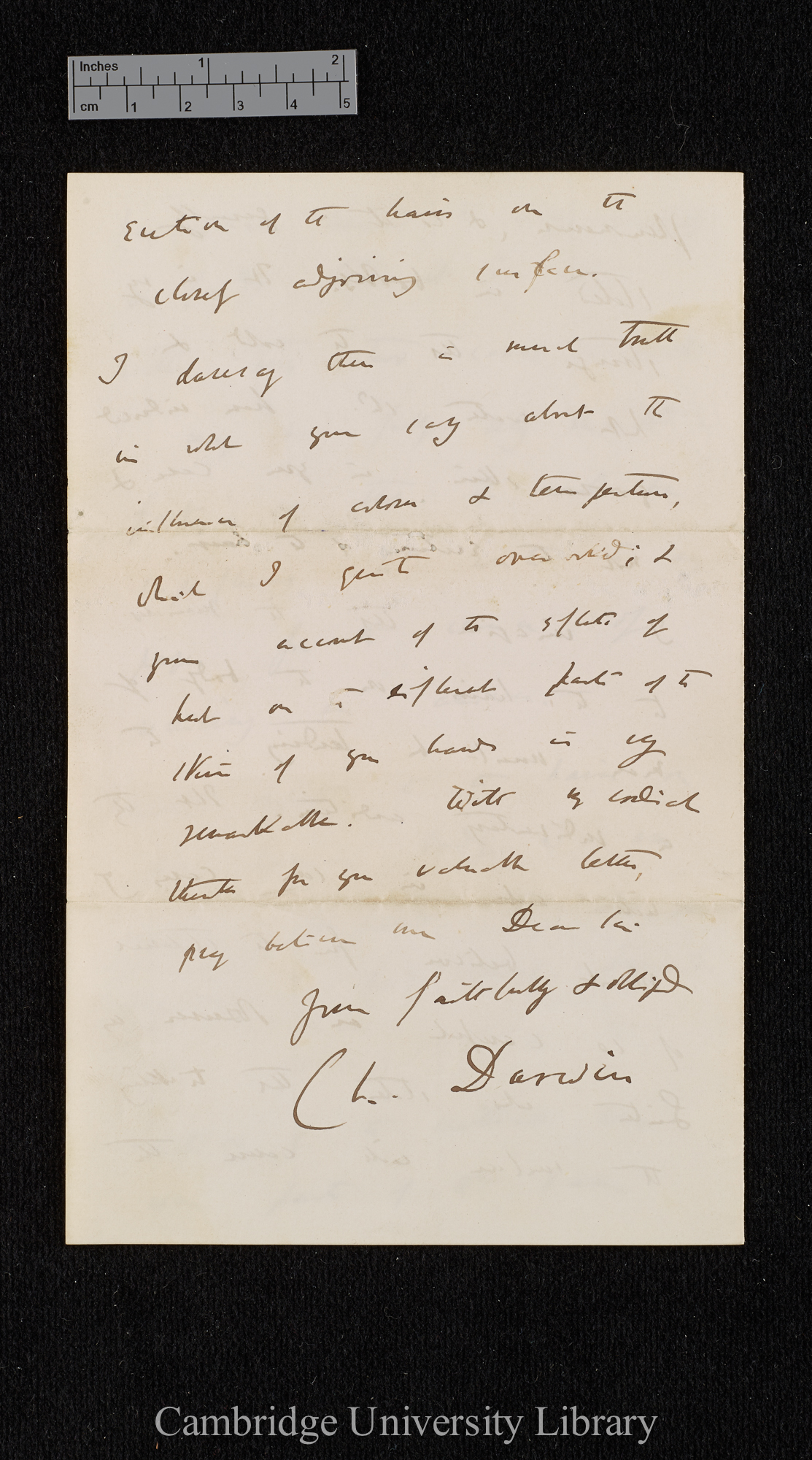 Charles Robert Darwin to Frank Chase