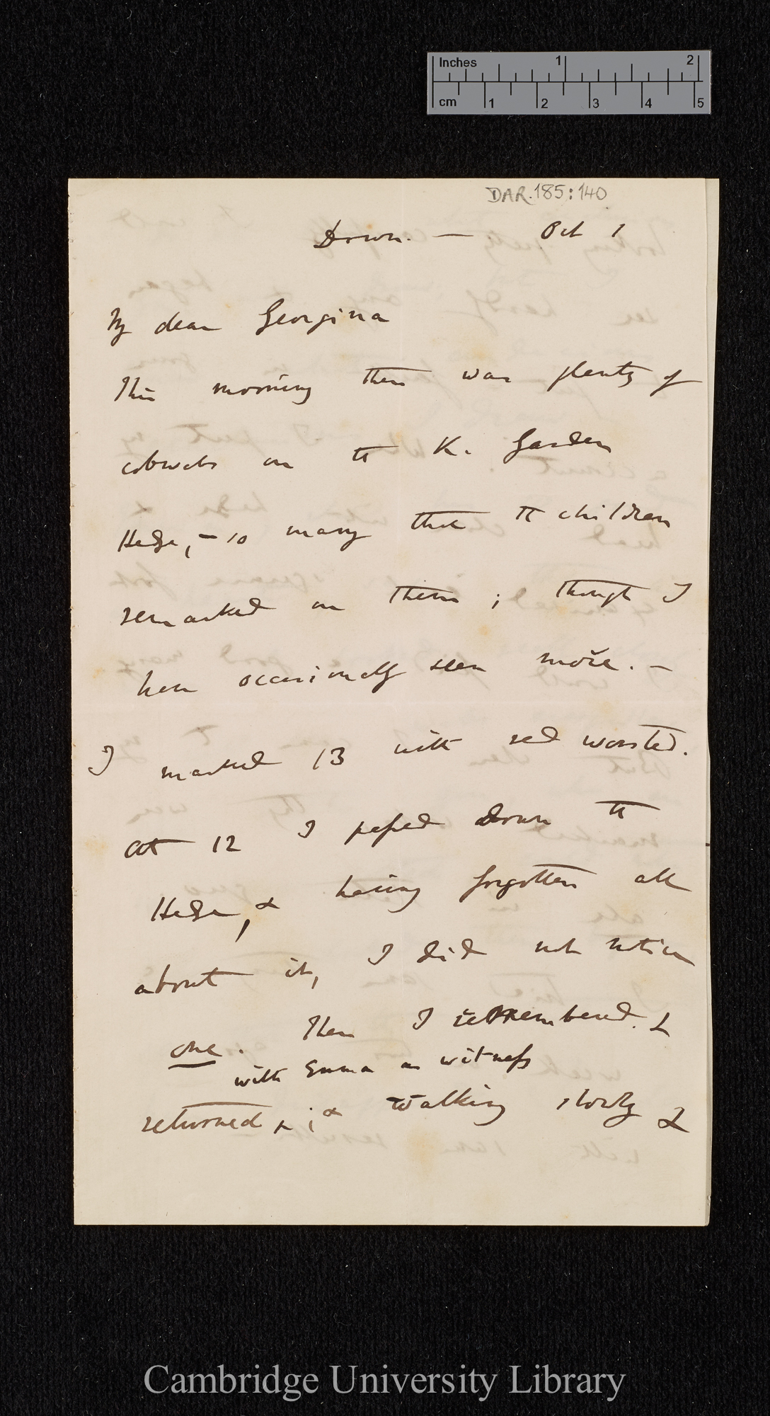 Charles Robert Darwin to Georgina Tollet