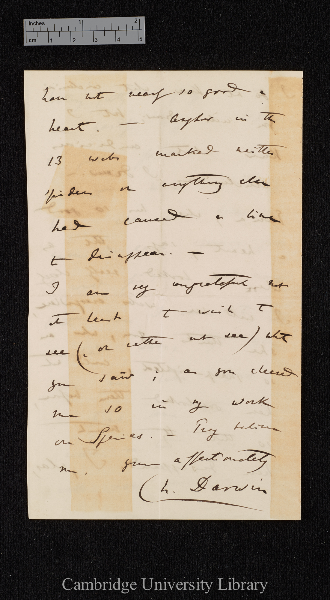 Charles Robert Darwin to Georgina Tollet