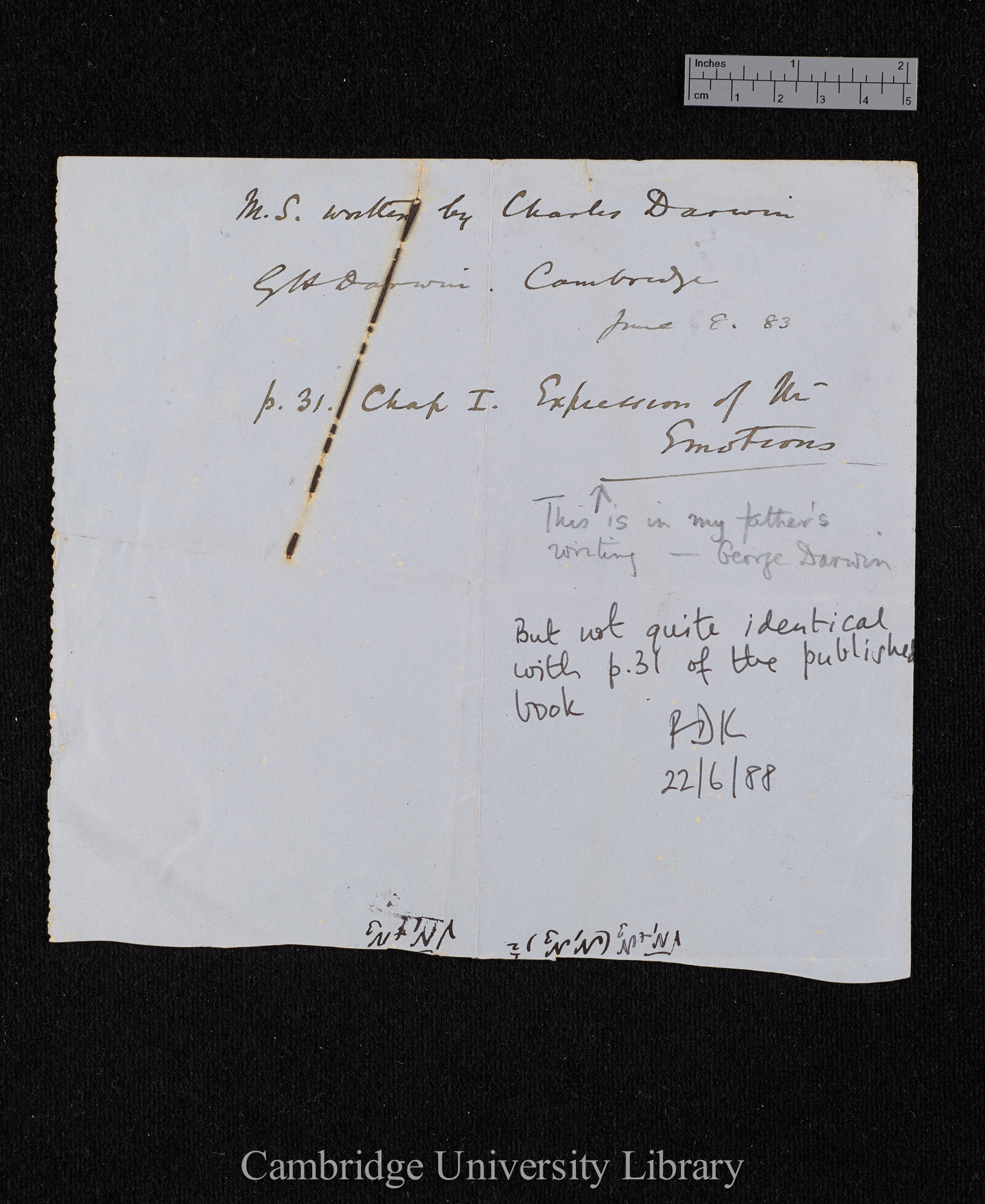 verso of Ms page (with notation by George and Francis Darwin)