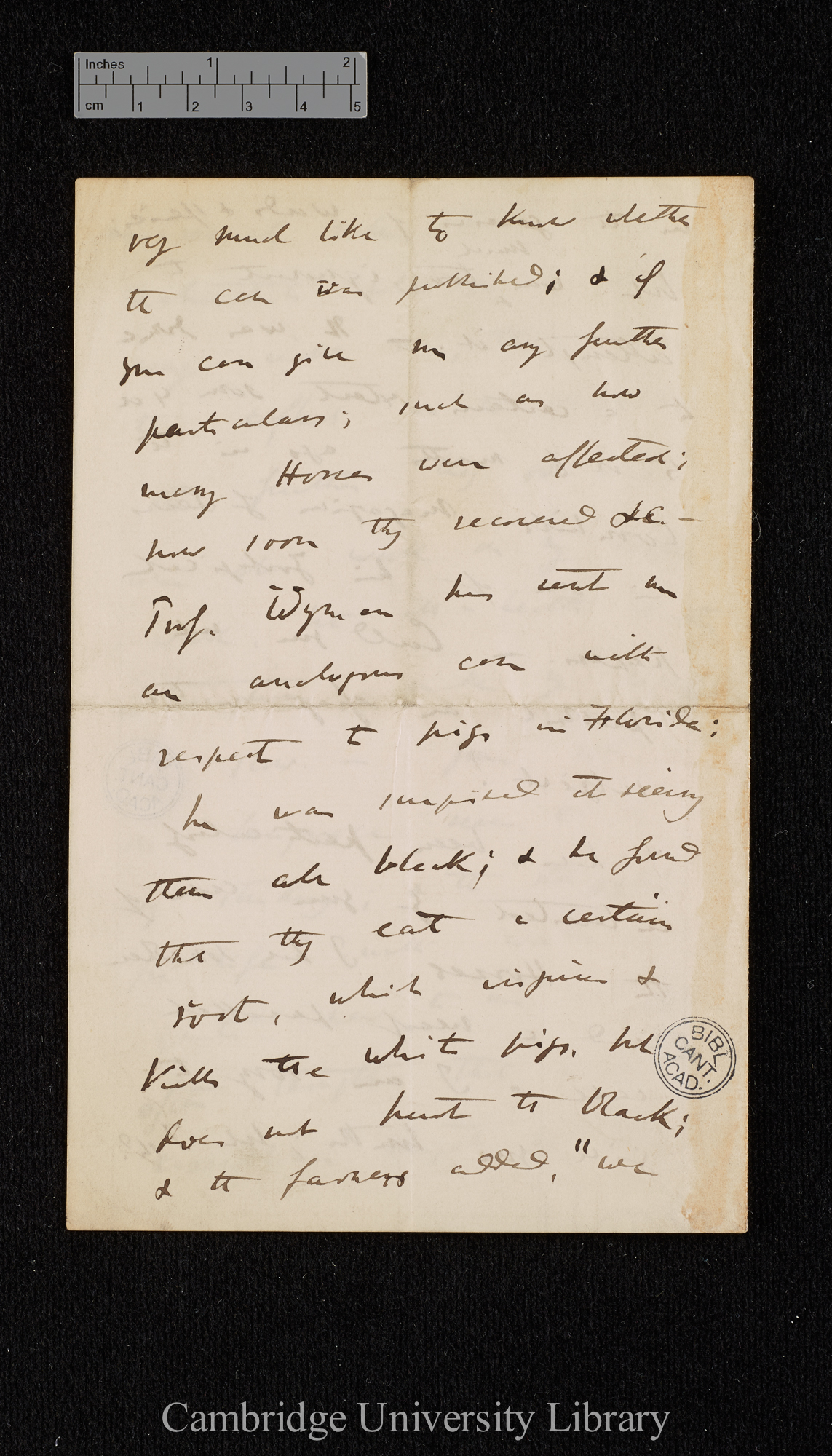 Charles Robert Darwin to John Medows Rodwell