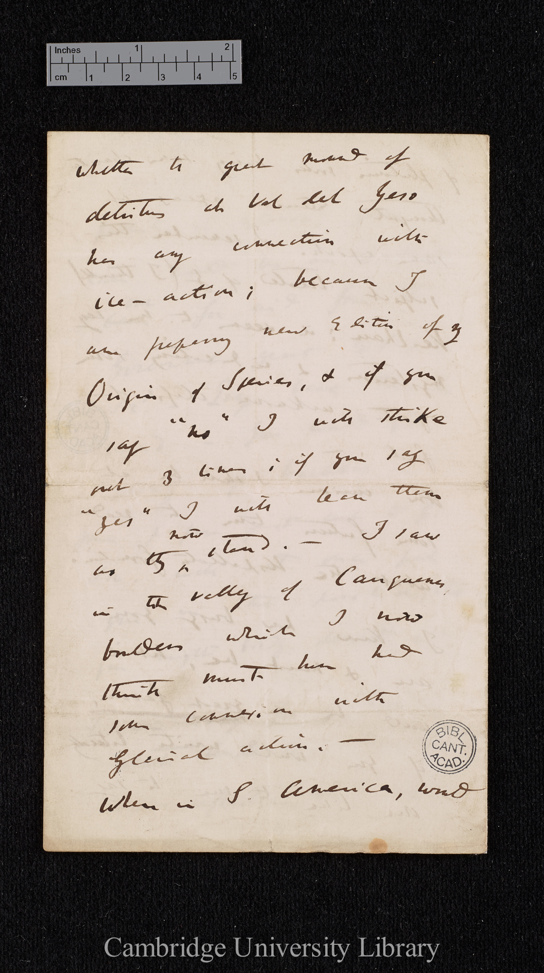 Charles Robert Darwin to David Forbes