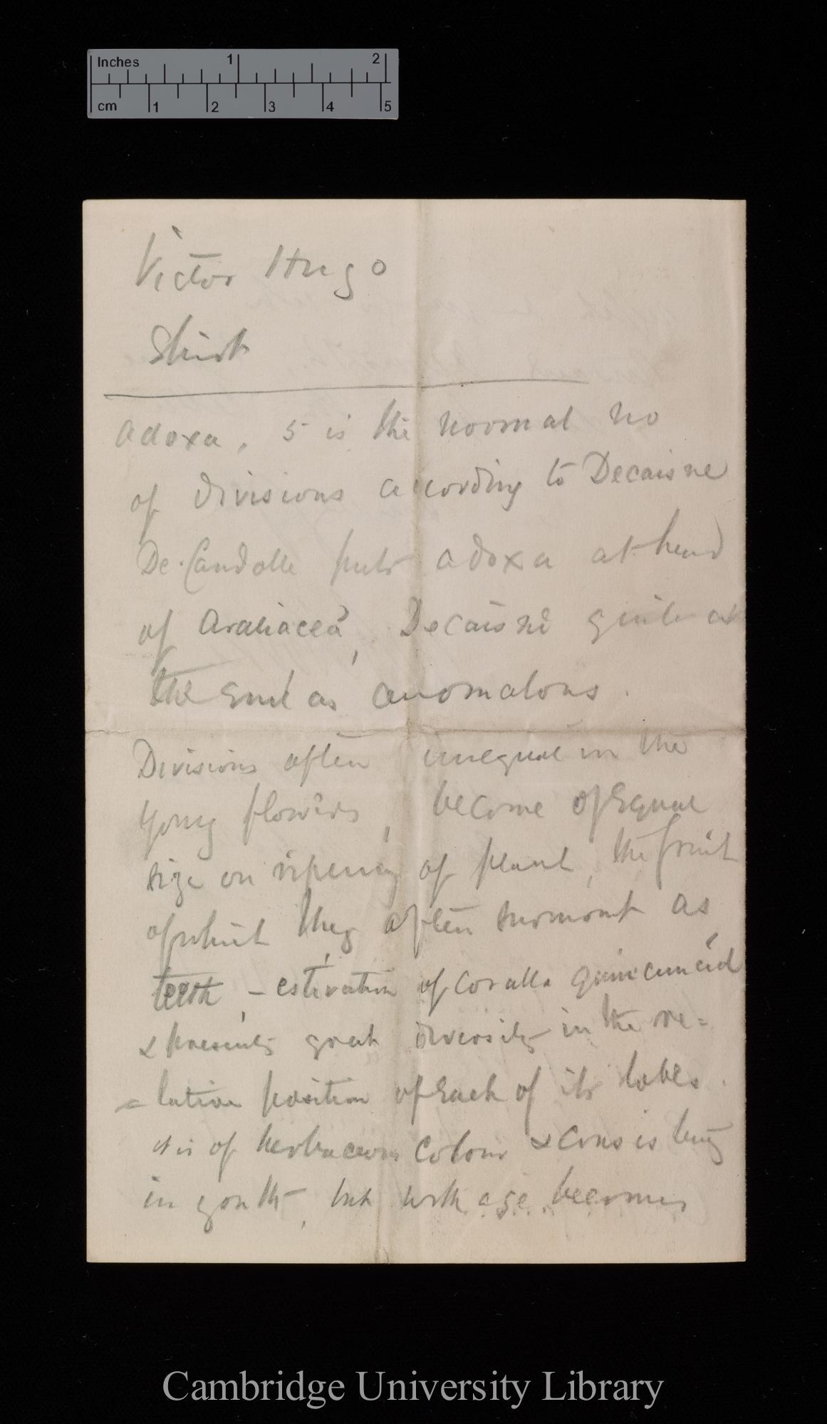 Sir Joseph Dalton Hooker to Charles Robert Darwin