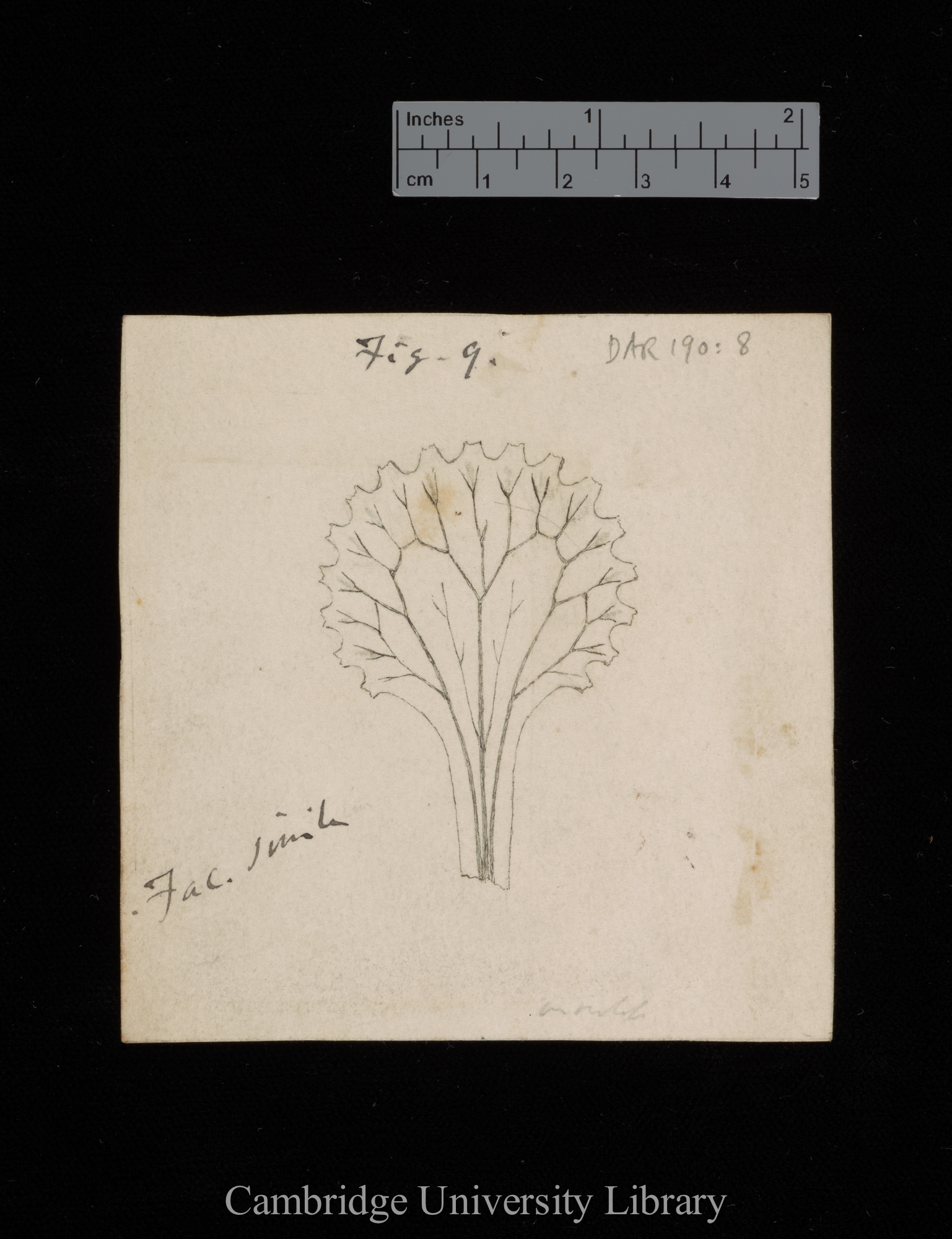 original numbered fig. 9