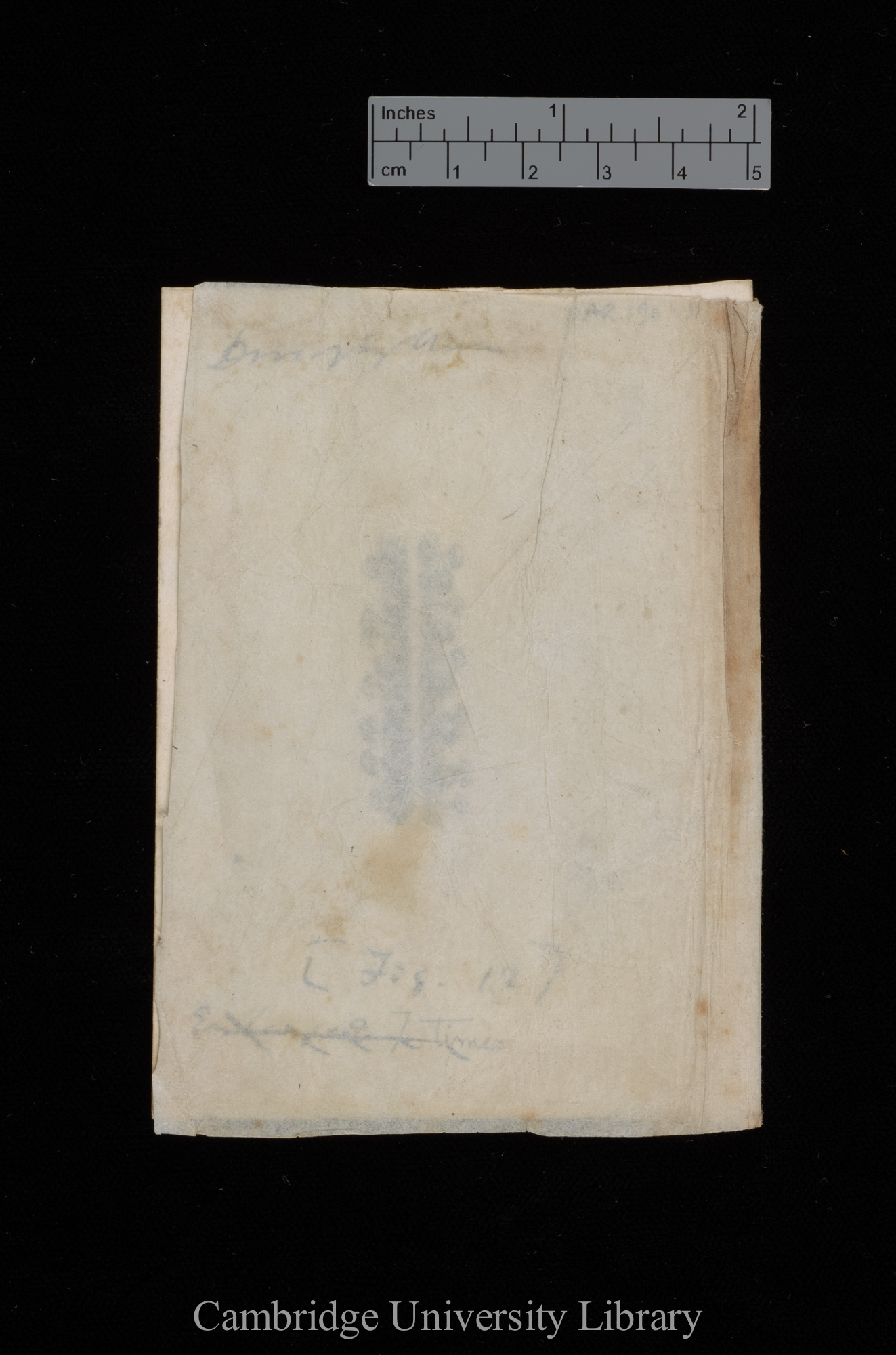 original numbered fig. 12 [tissue cover in situ]