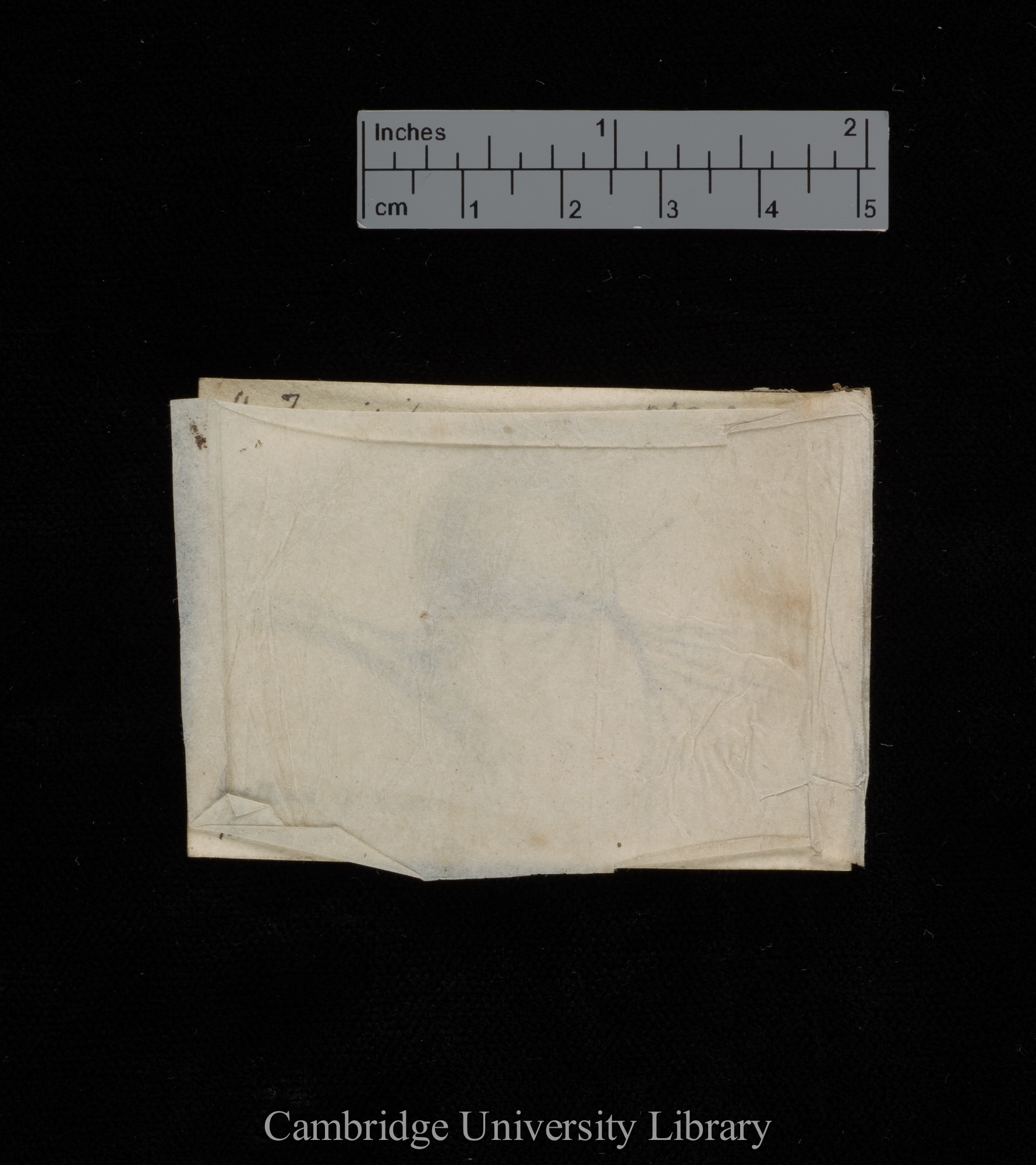 original numbered fig. 16 [tissue cover in situ]