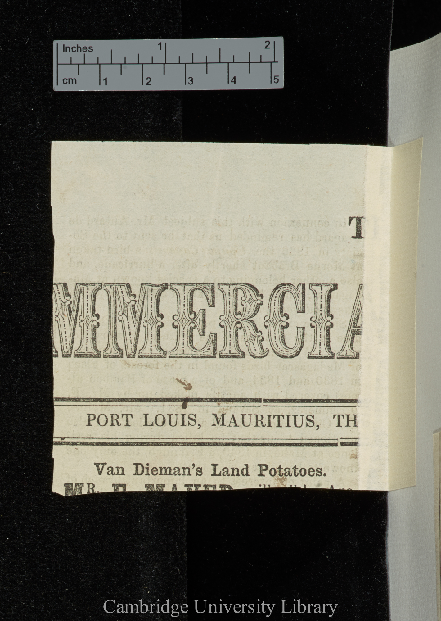 (fragment from) &#39;(Port Louis, Mauritius) Maritime Commercial Gazette&#39;: [1]