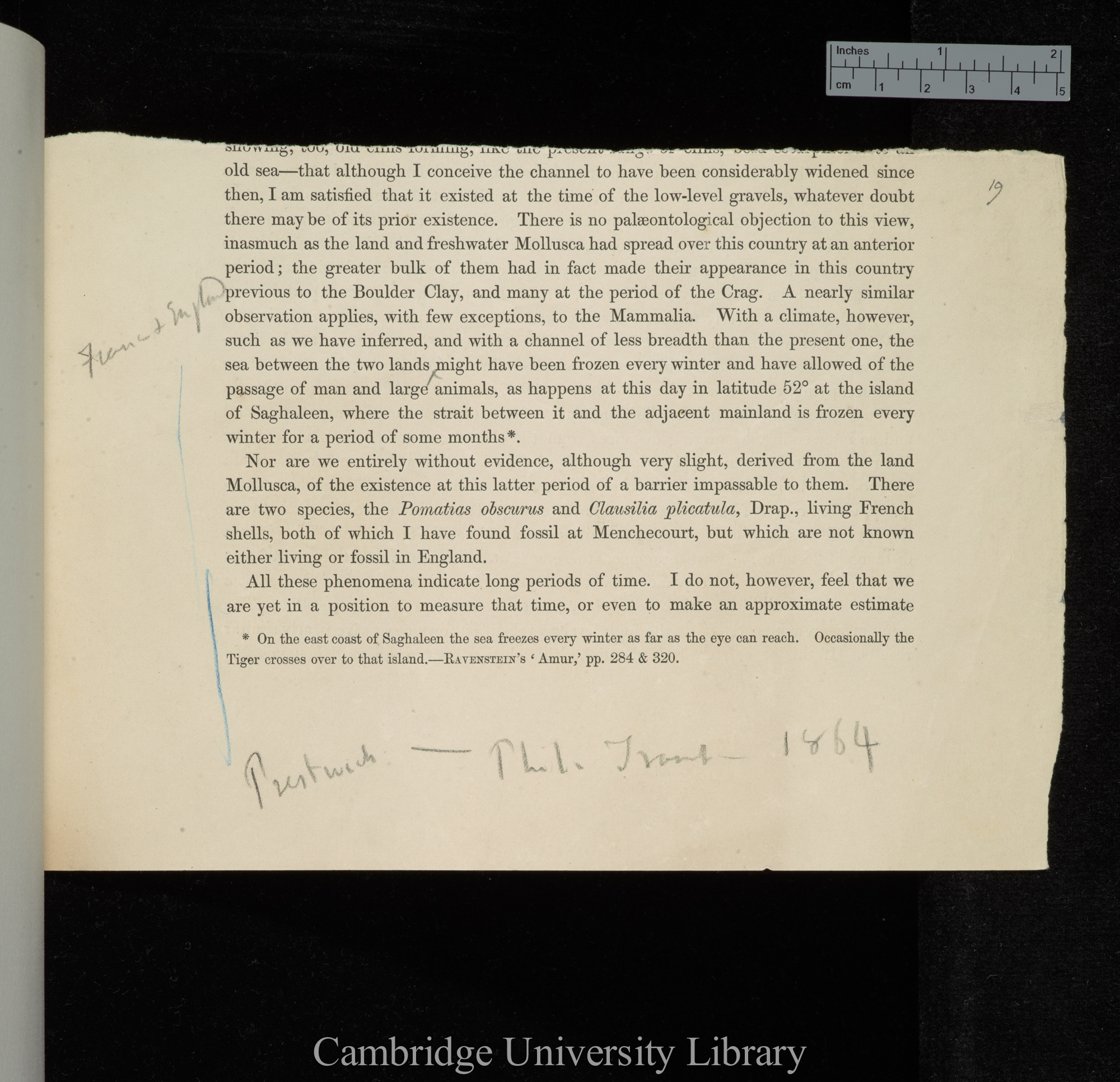 Theoretical considerations on the conditions under which the (drift) deposits containing the remains of extinct Mammalia and flint implements were accumulated, and on their geological age &#39;Royal Society, Philosophical Transactions&#39;: (247-311) bottom half of pp 301-302 only