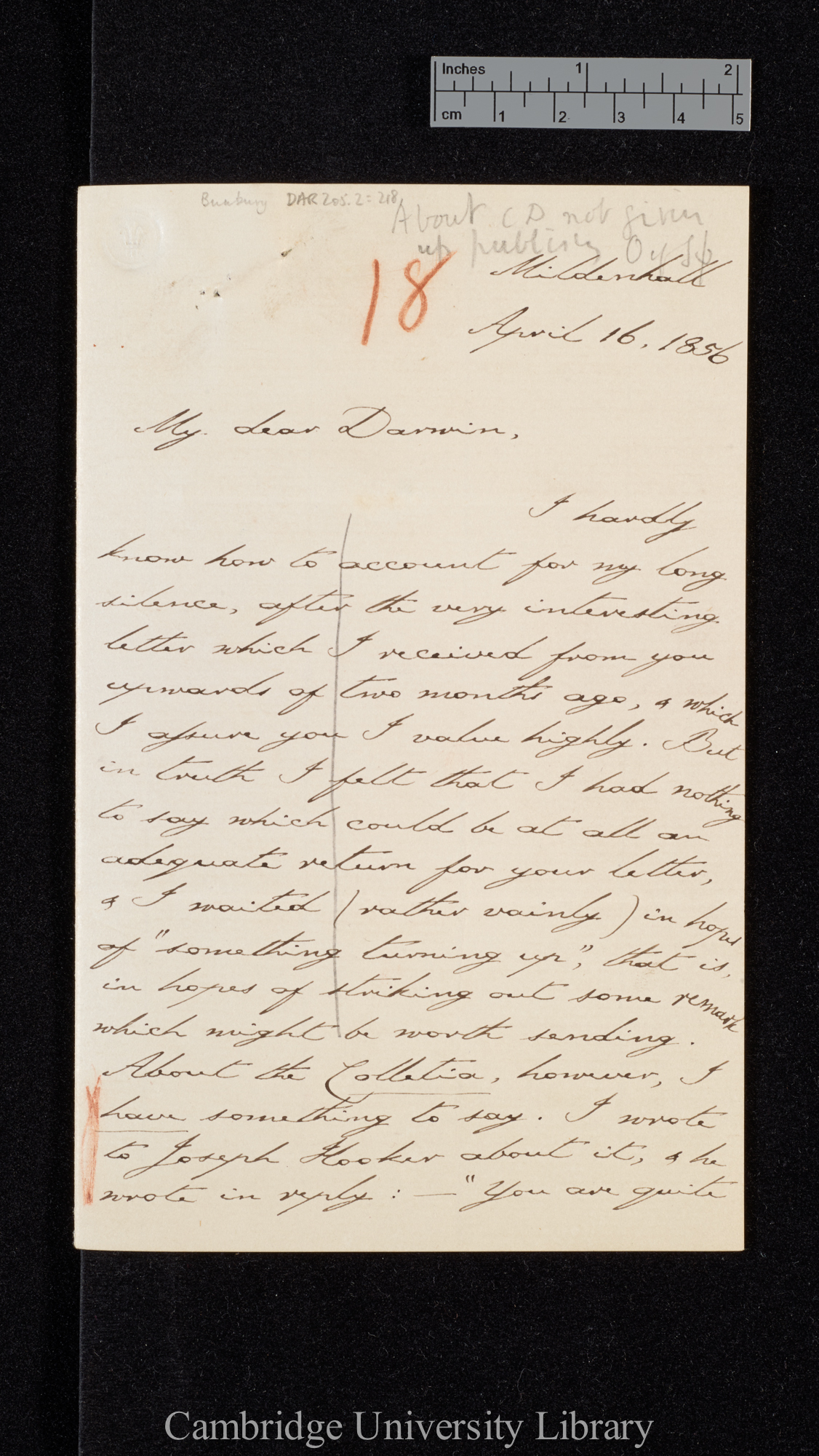 Sir Charles J Fox Bunbury to Charles Robert Darwin