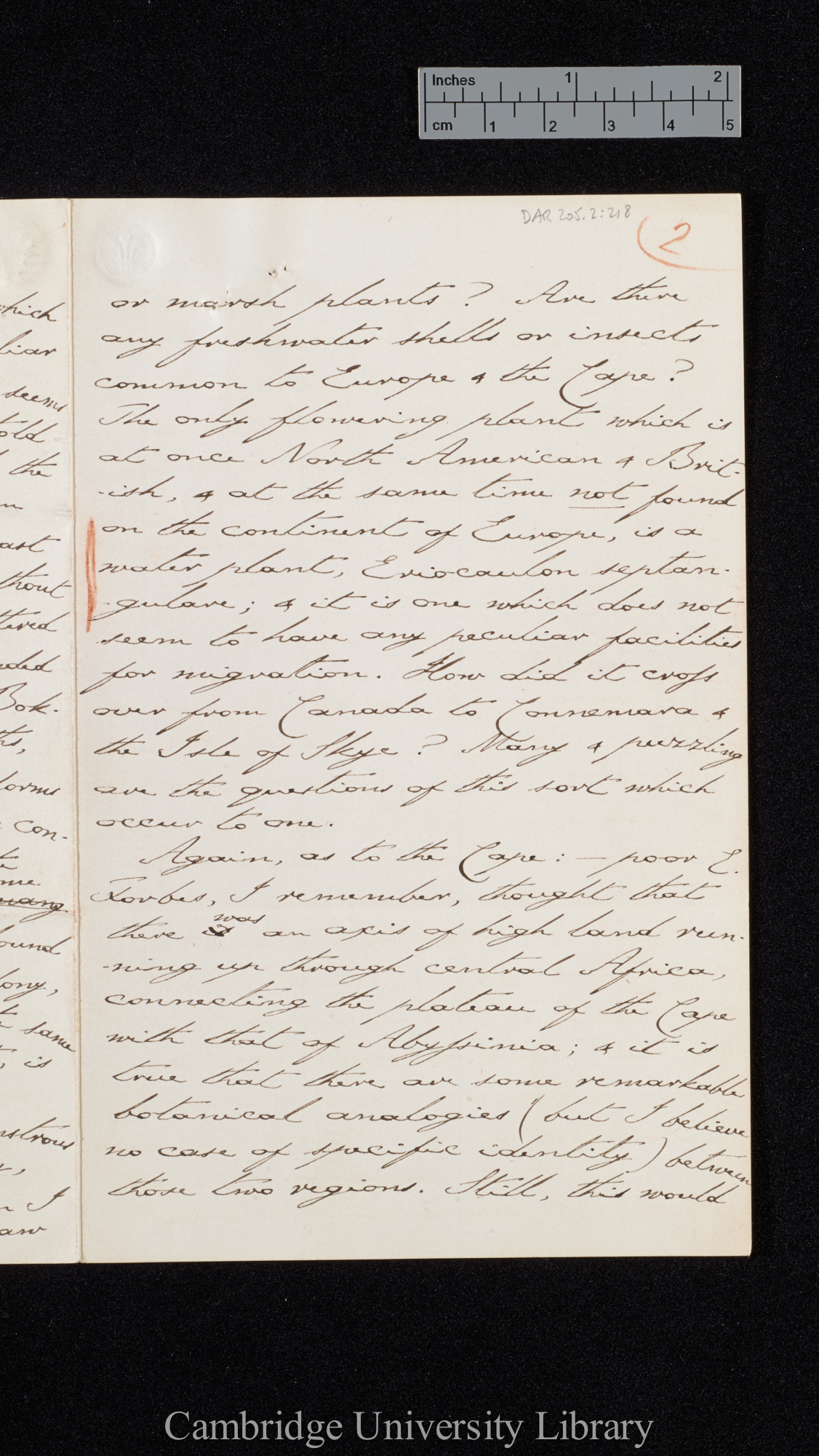 Sir Charles J Fox Bunbury to Charles Robert Darwin