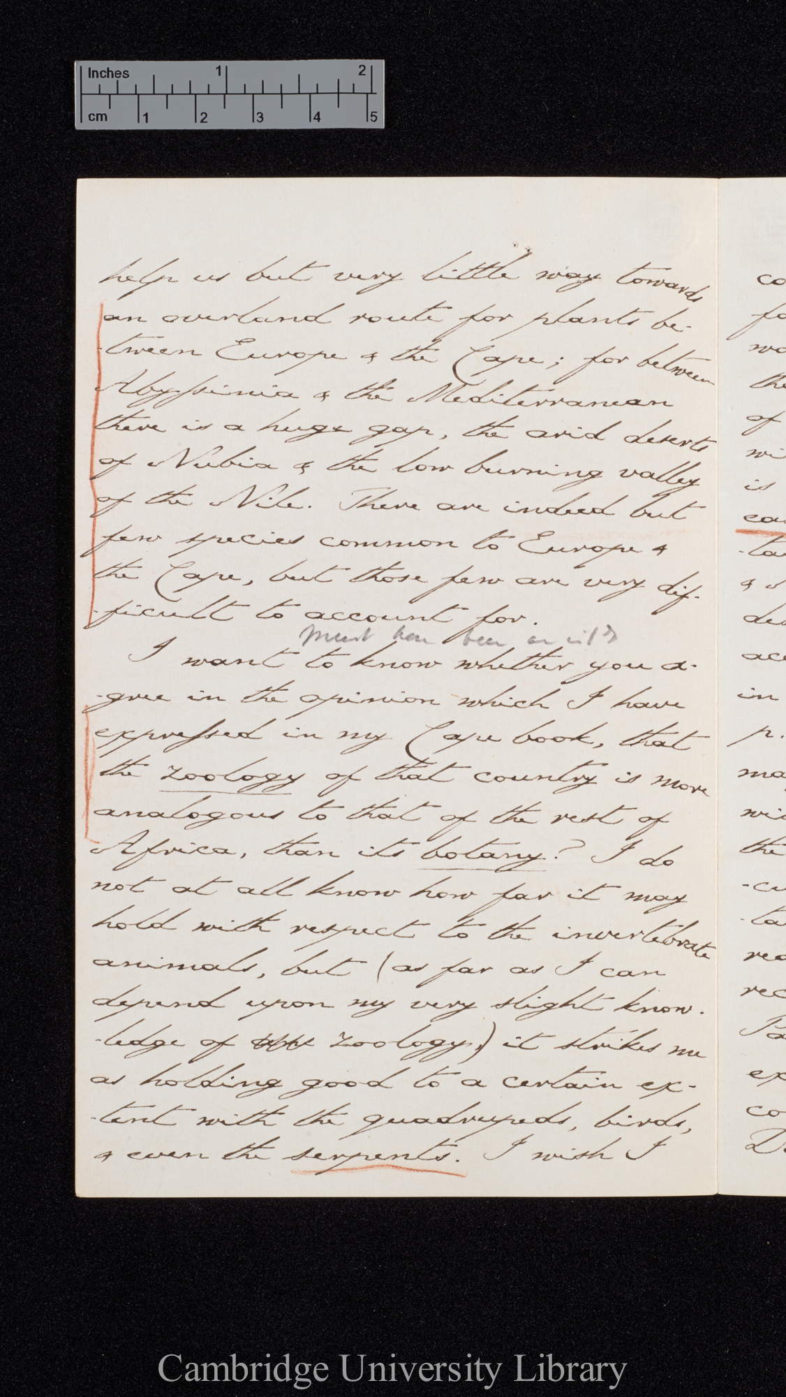 Sir Charles J Fox Bunbury to Charles Robert Darwin