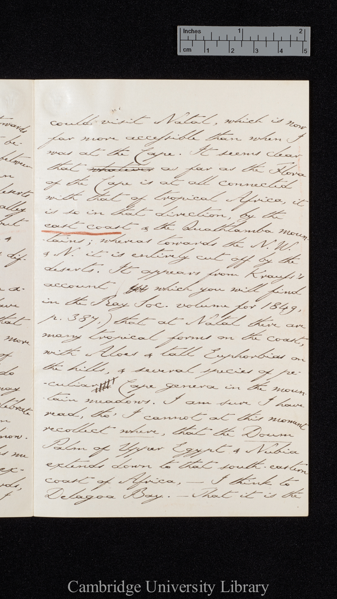 Sir Charles J Fox Bunbury to Charles Robert Darwin