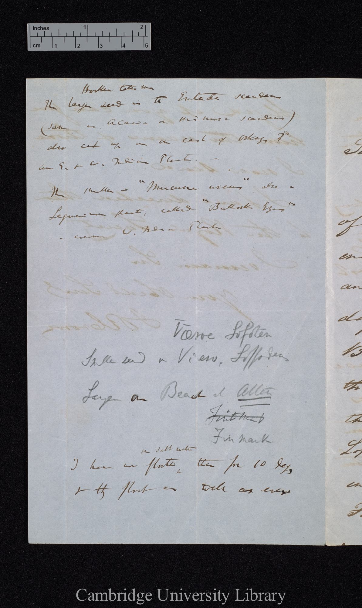 Sir John Rice Crowe to Charles Robert Darwin