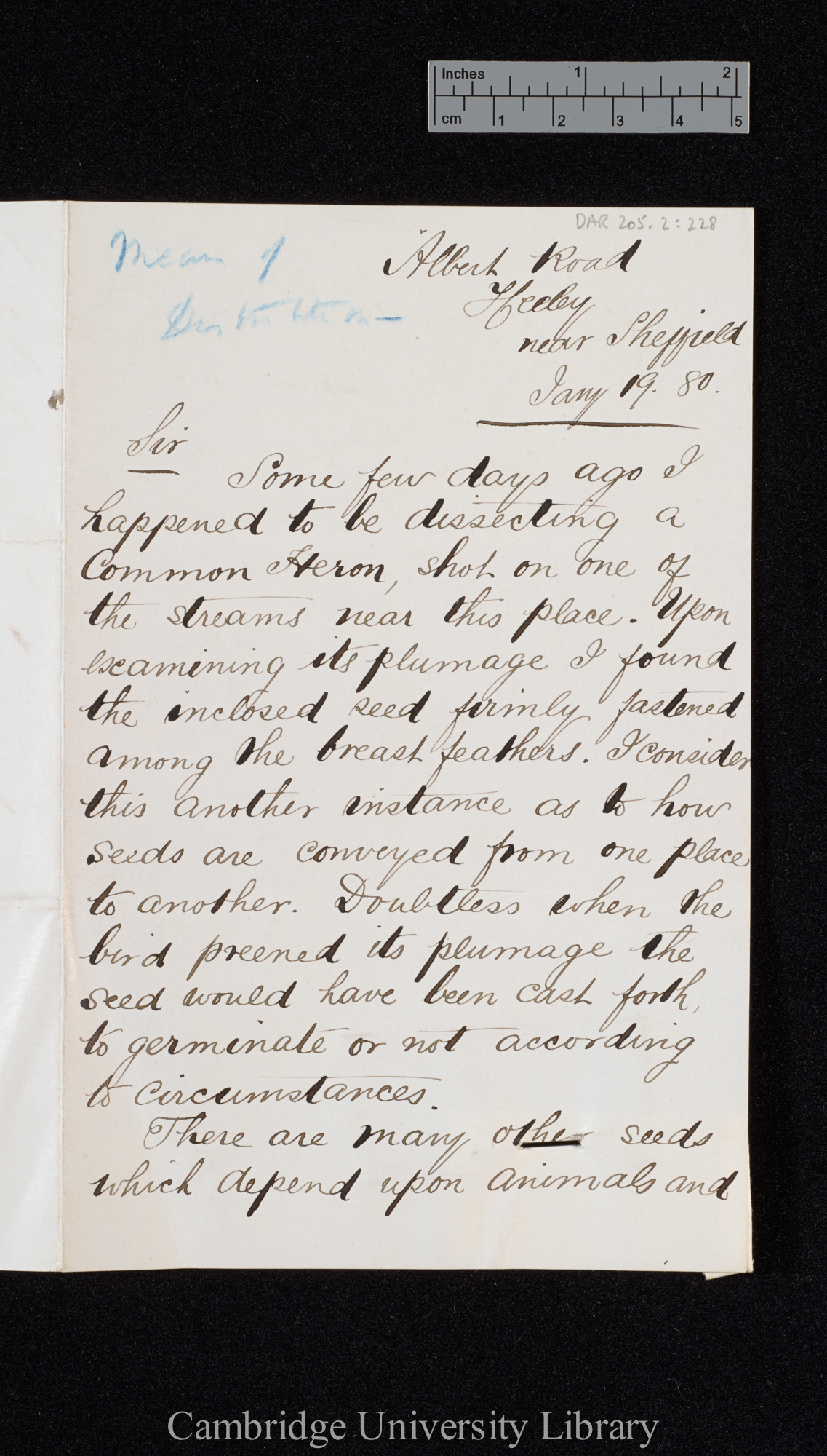 Charles Dixon to Charles Robert Darwin