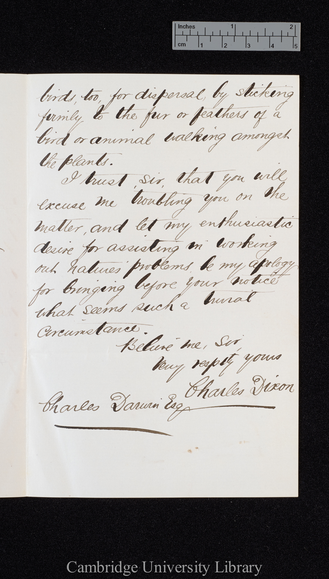 Charles Dixon to Charles Robert Darwin