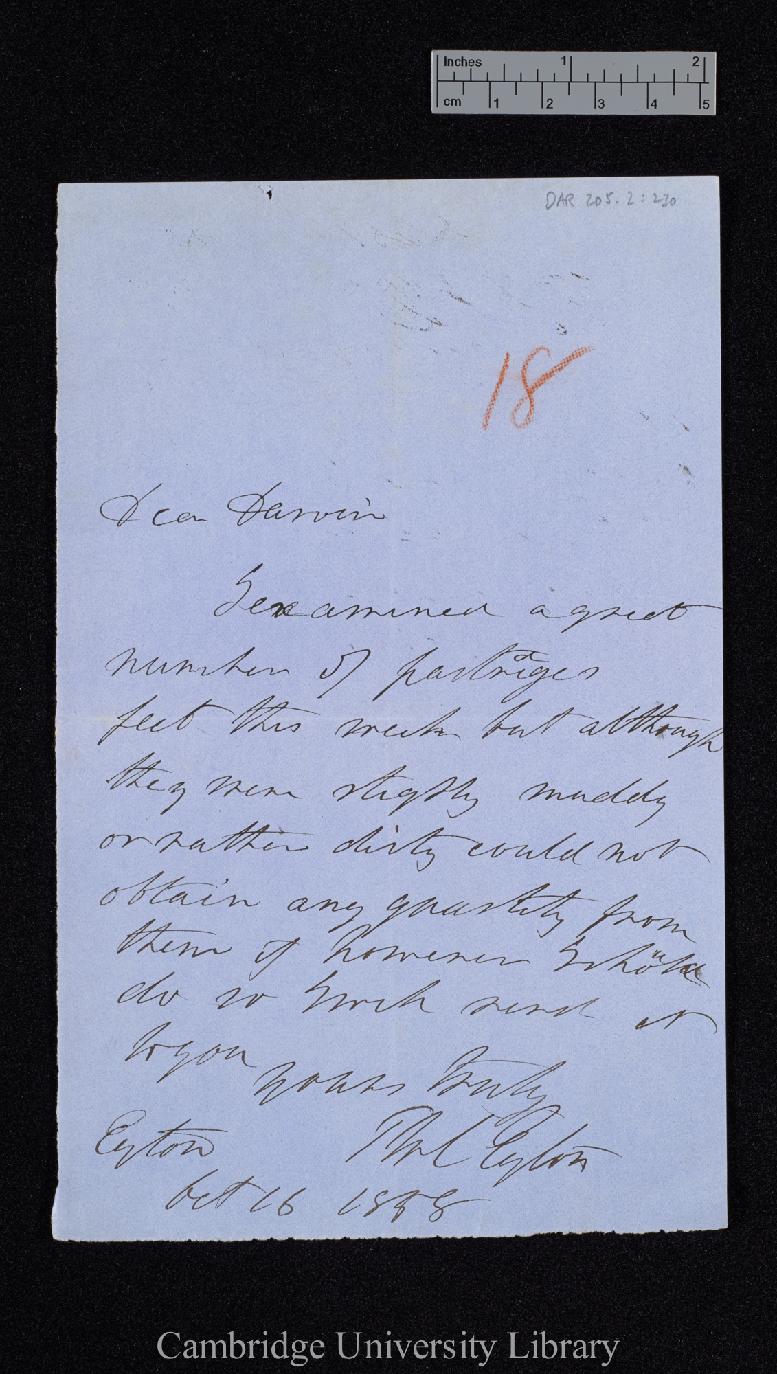 Letter from Thomas Campbell Eyton to Charles Robert Darwin; written at [place unstated]