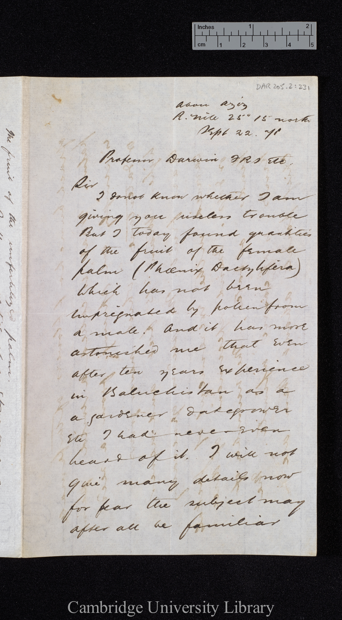 Ernest Ayscoghe Floyer to Charles Robert Darwin [p 1]