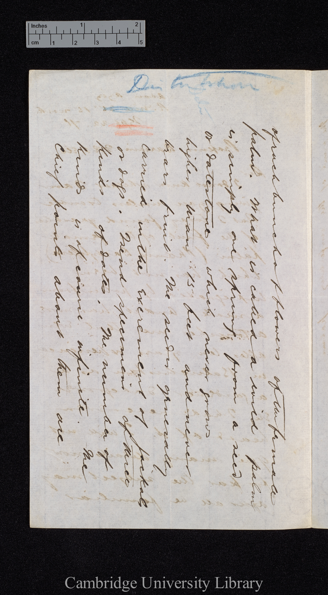 Ernest Ayscoghe Floyer to Charles Robert Darwin [p 3]