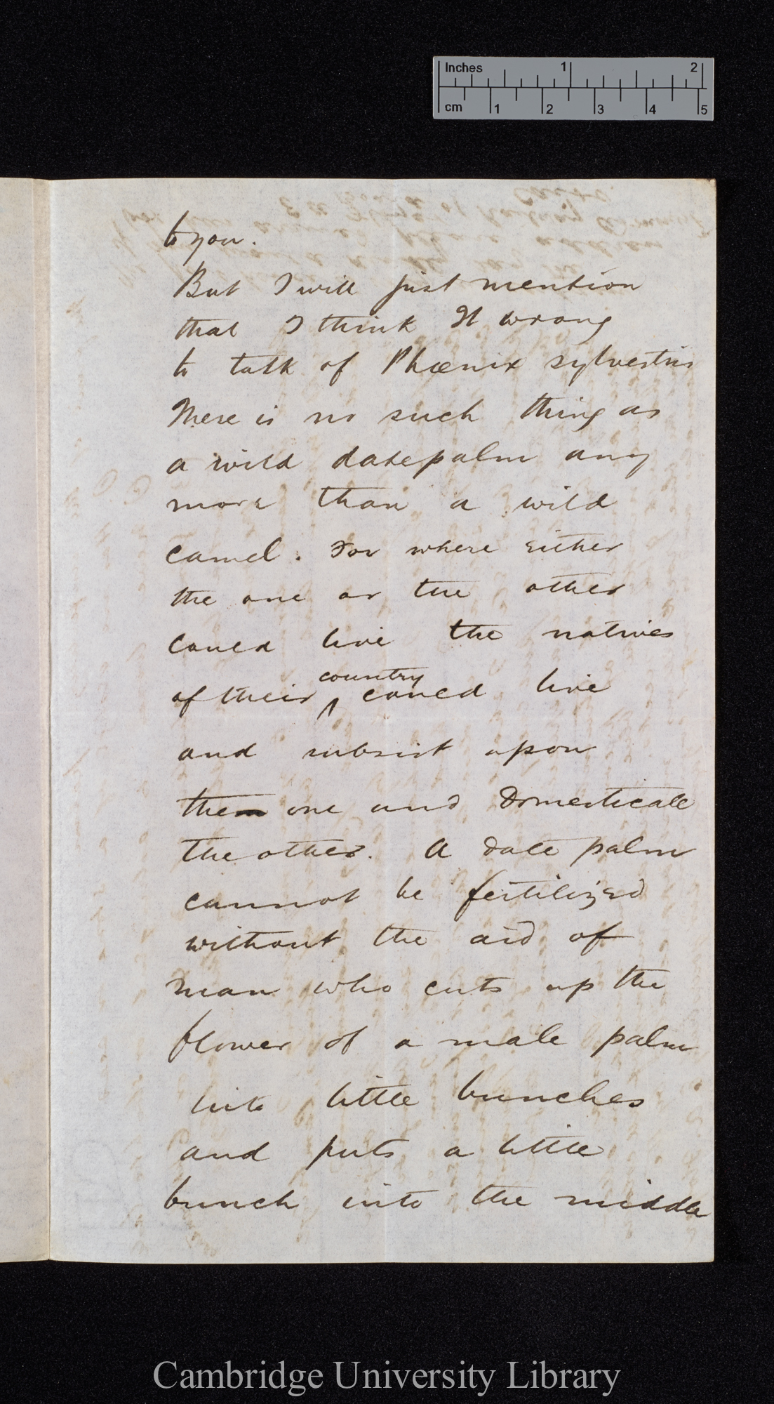 Ernest Ayscoghe Floyer to Charles Robert Darwin [p 2]