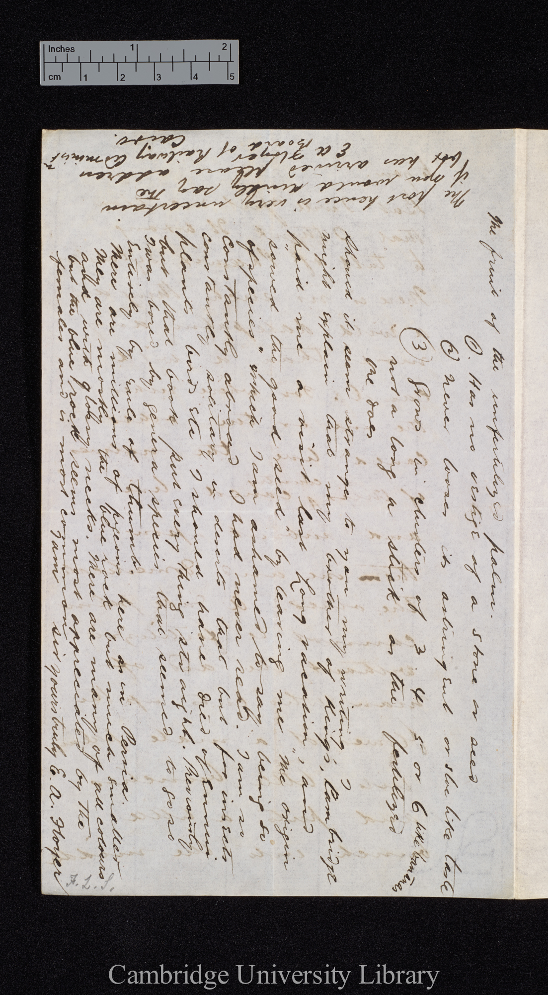 Ernest Ayscoghe Floyer to Charles Robert Darwin [p 4]