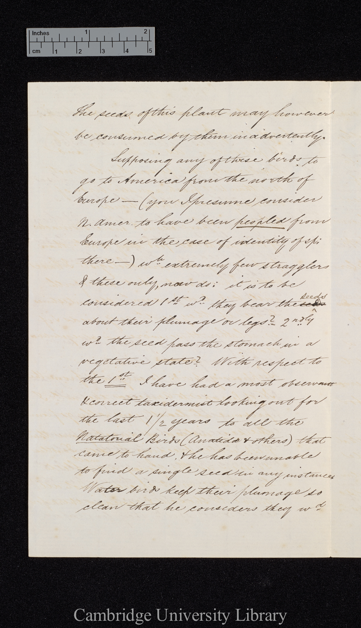 William Thompson to Edward Forbes