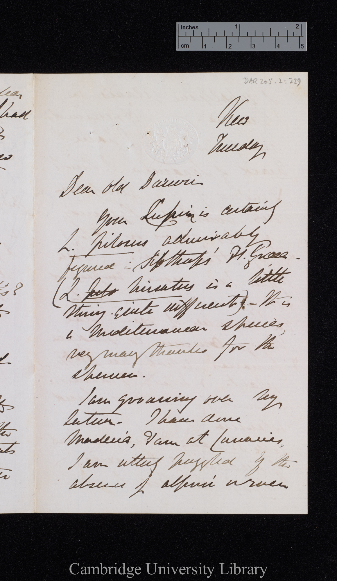 Sir Joseph Dalton Hooker to Charles Robert Darwin